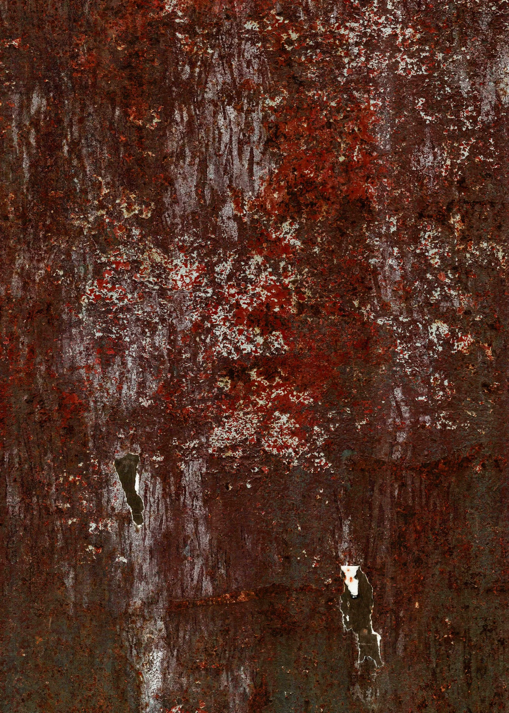 Mitchell Sturm -20240617, Scan, France 2024 100-2.jpg