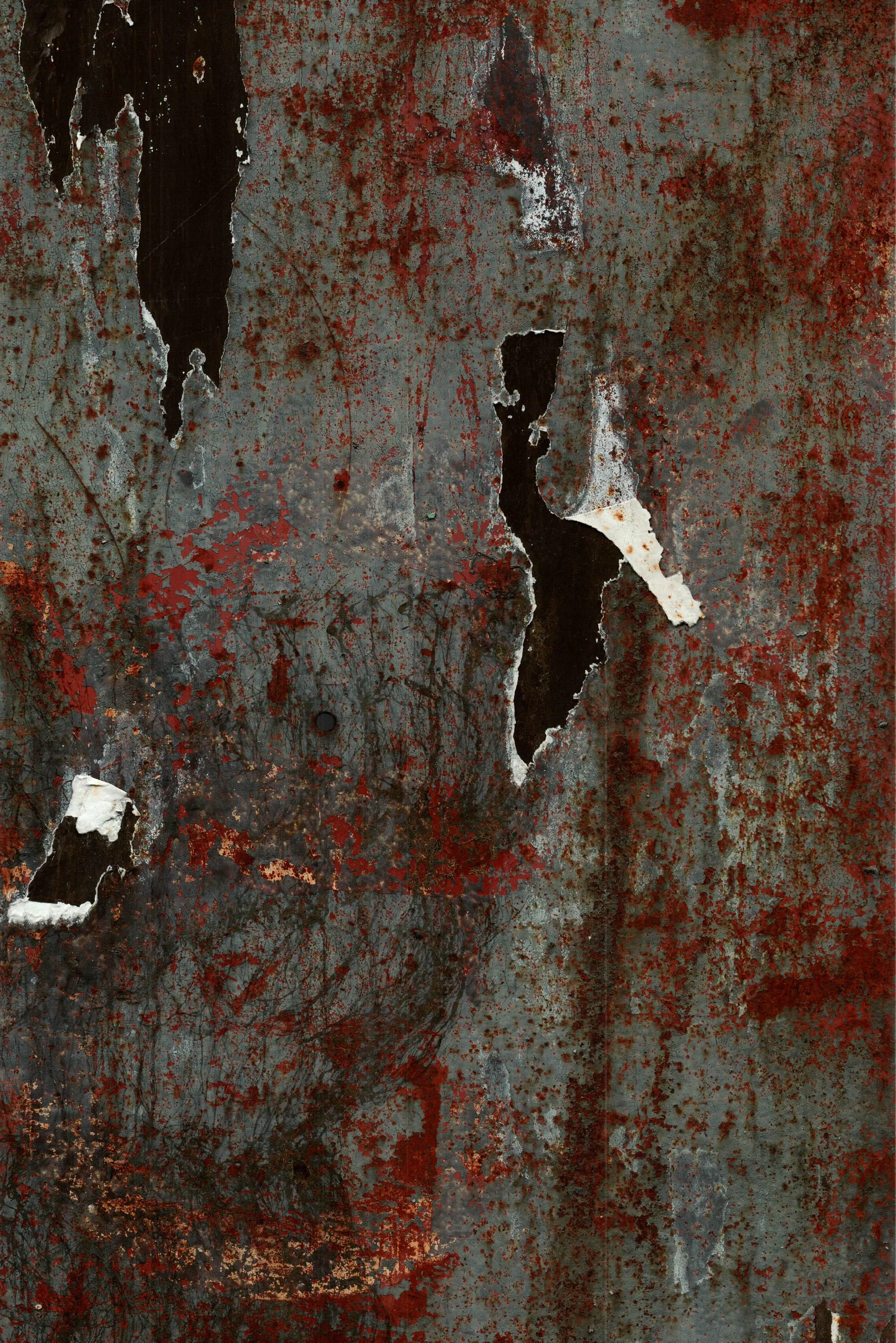 Mitchell Sturm -20240617, Scan, France 2024 90.jpg