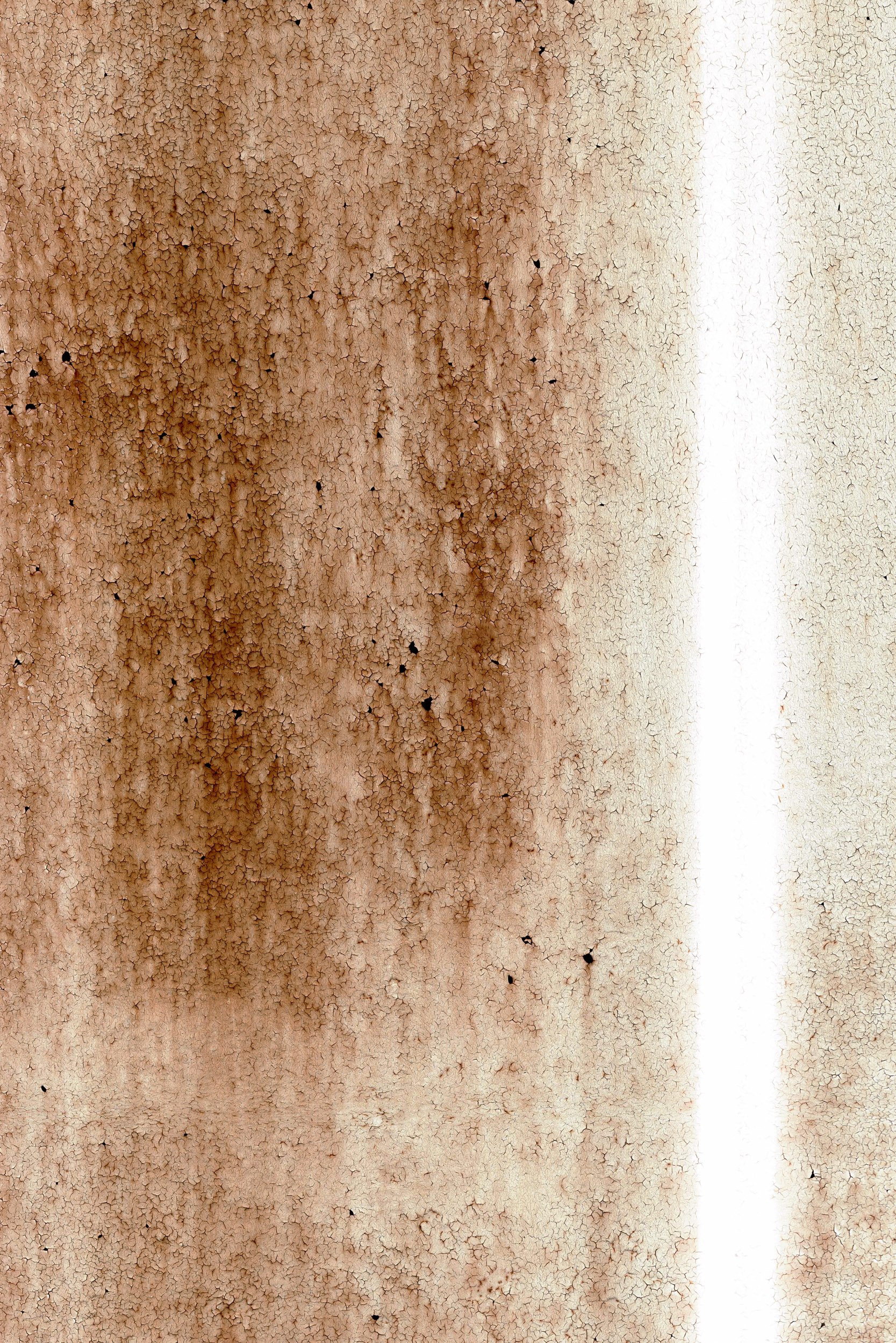 Mitchell Sturm - 20240906, Paris France 2024 44.jpg