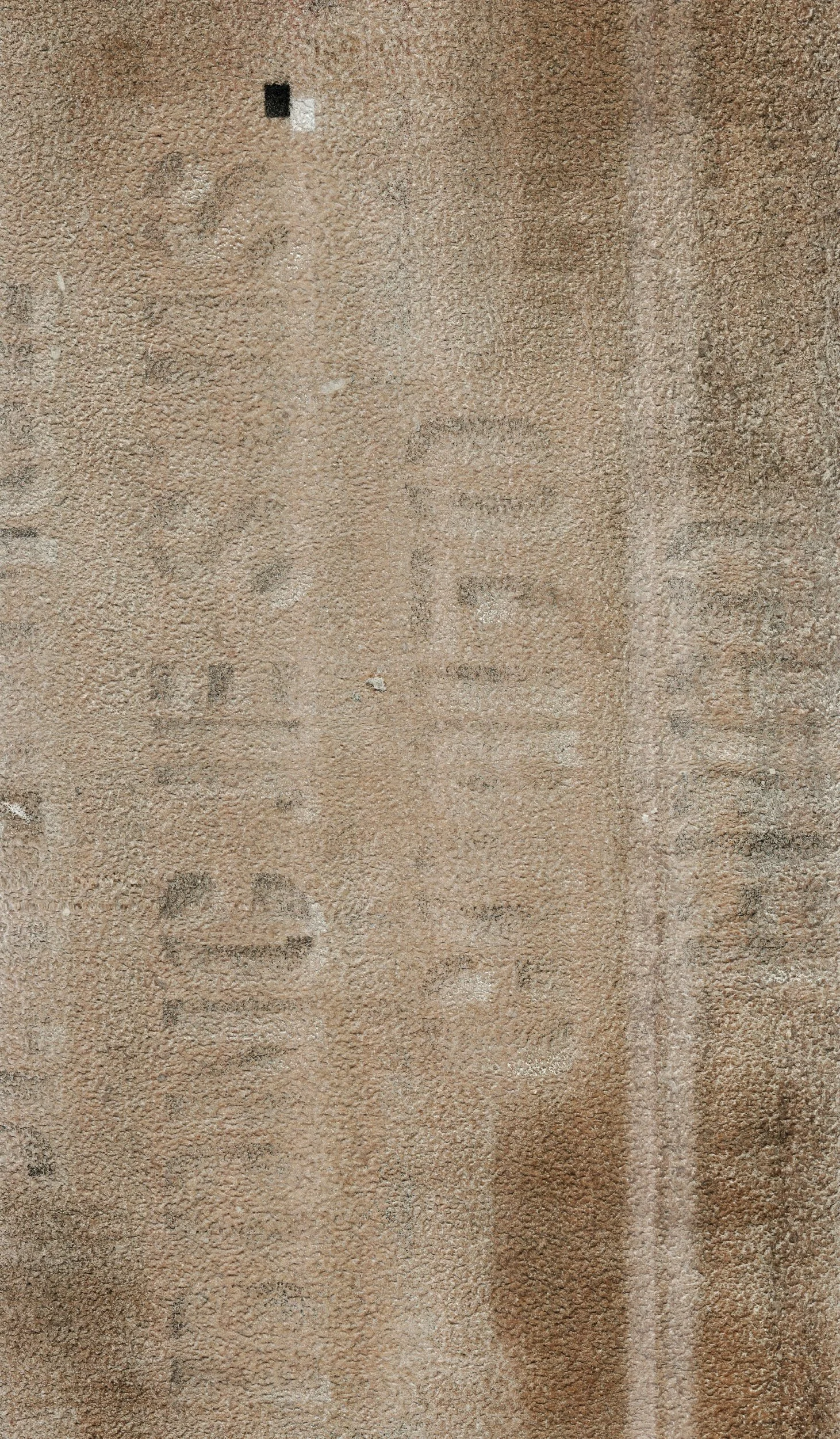 Mitchell Sturm - 20110101, Paris France 111.jpg