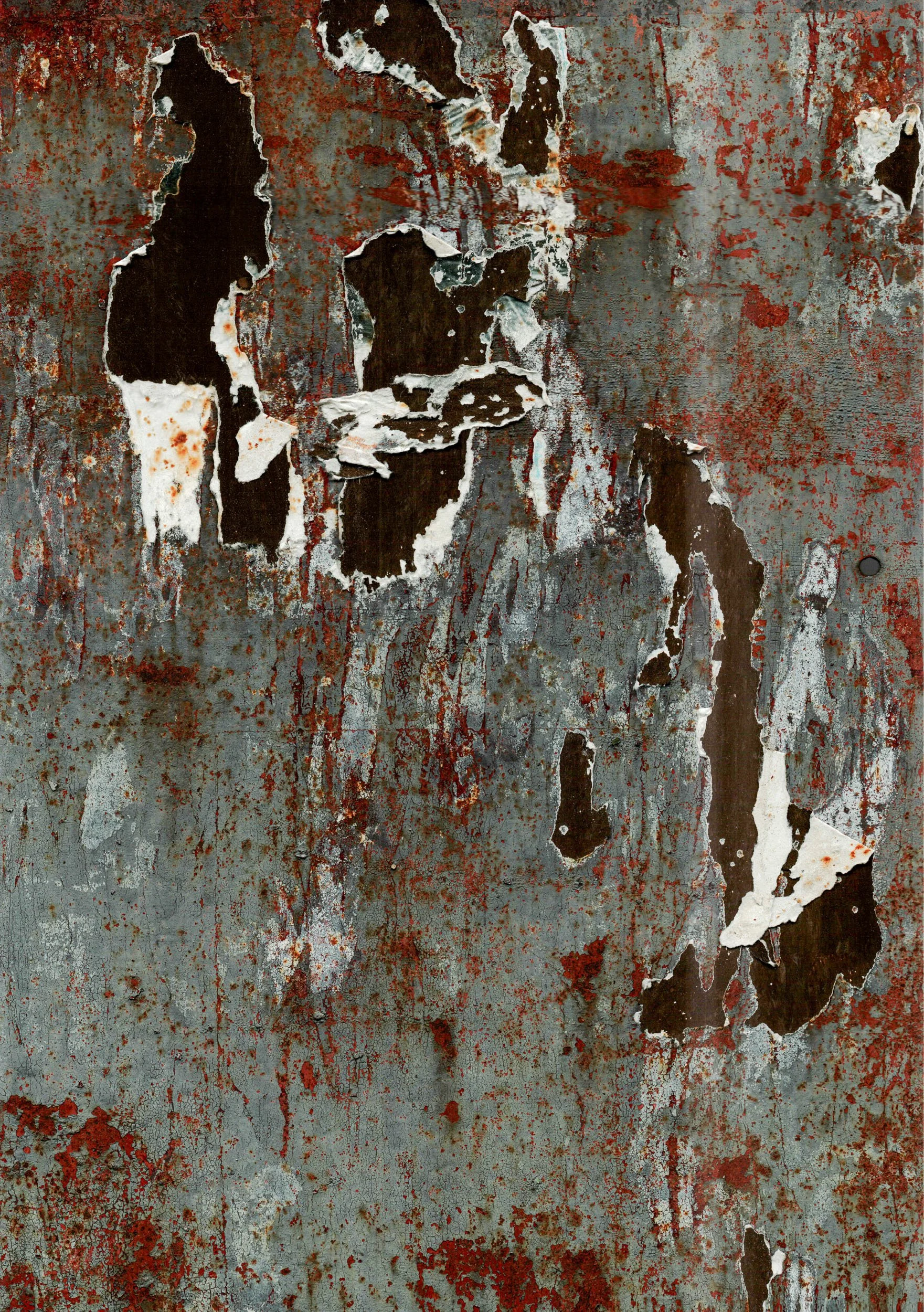 Mitchell Sturm -20240617, Scan, France 2024 86.jpg