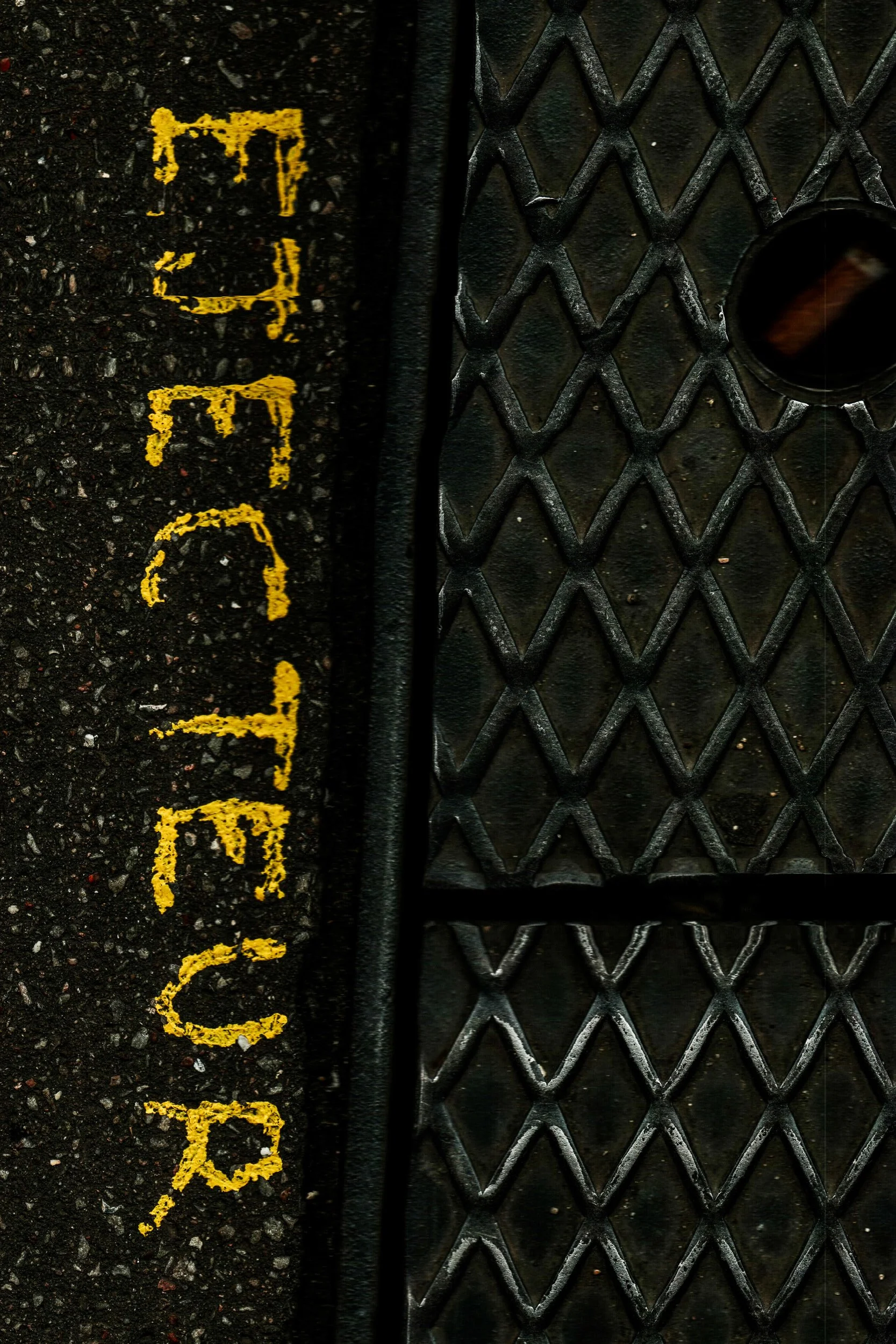 Mitchell Sturm - 20110102, Paris France 129.jpg