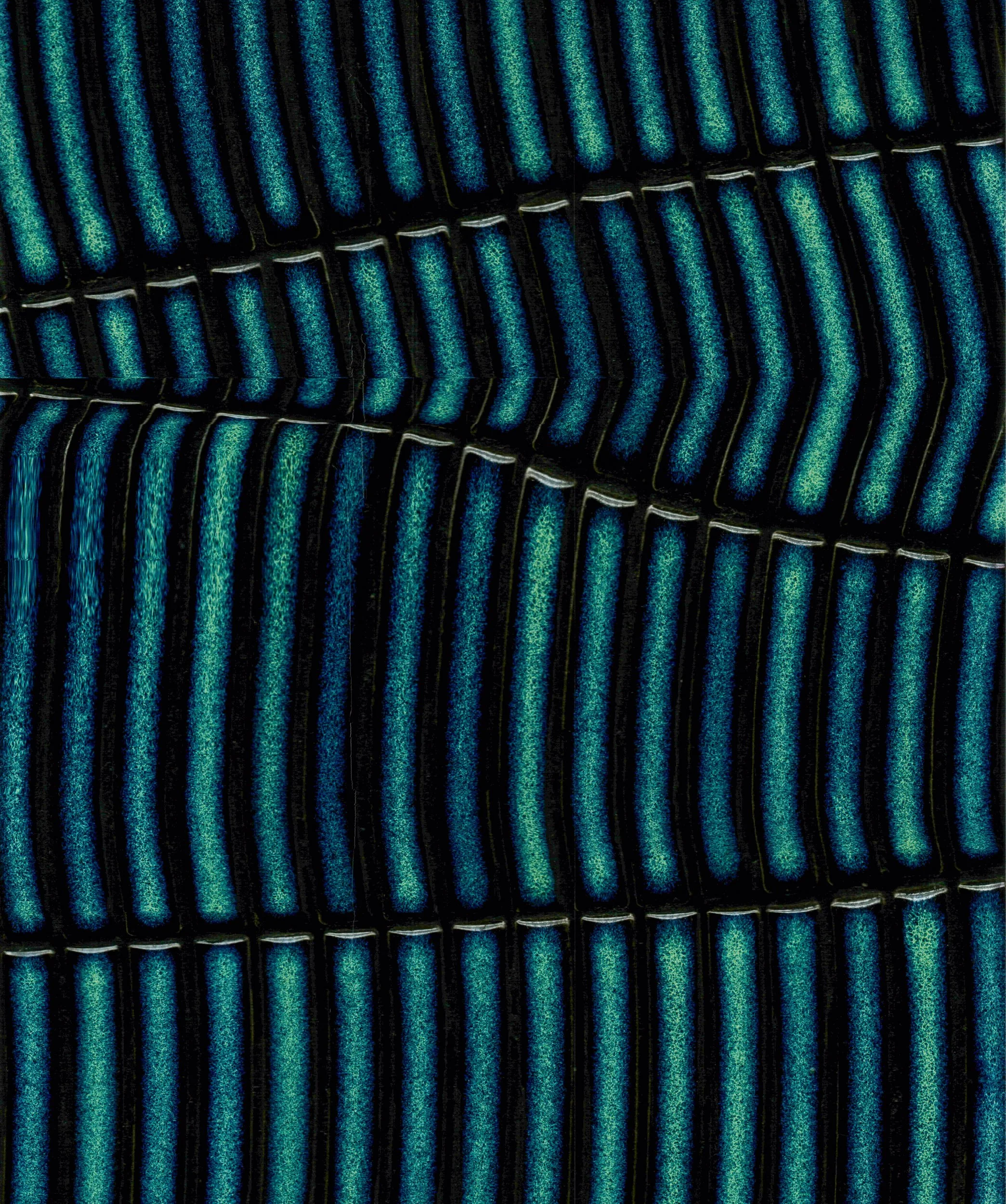 Mitchell Sturm -20240608, Scan, Paris France 2024 149.jpg