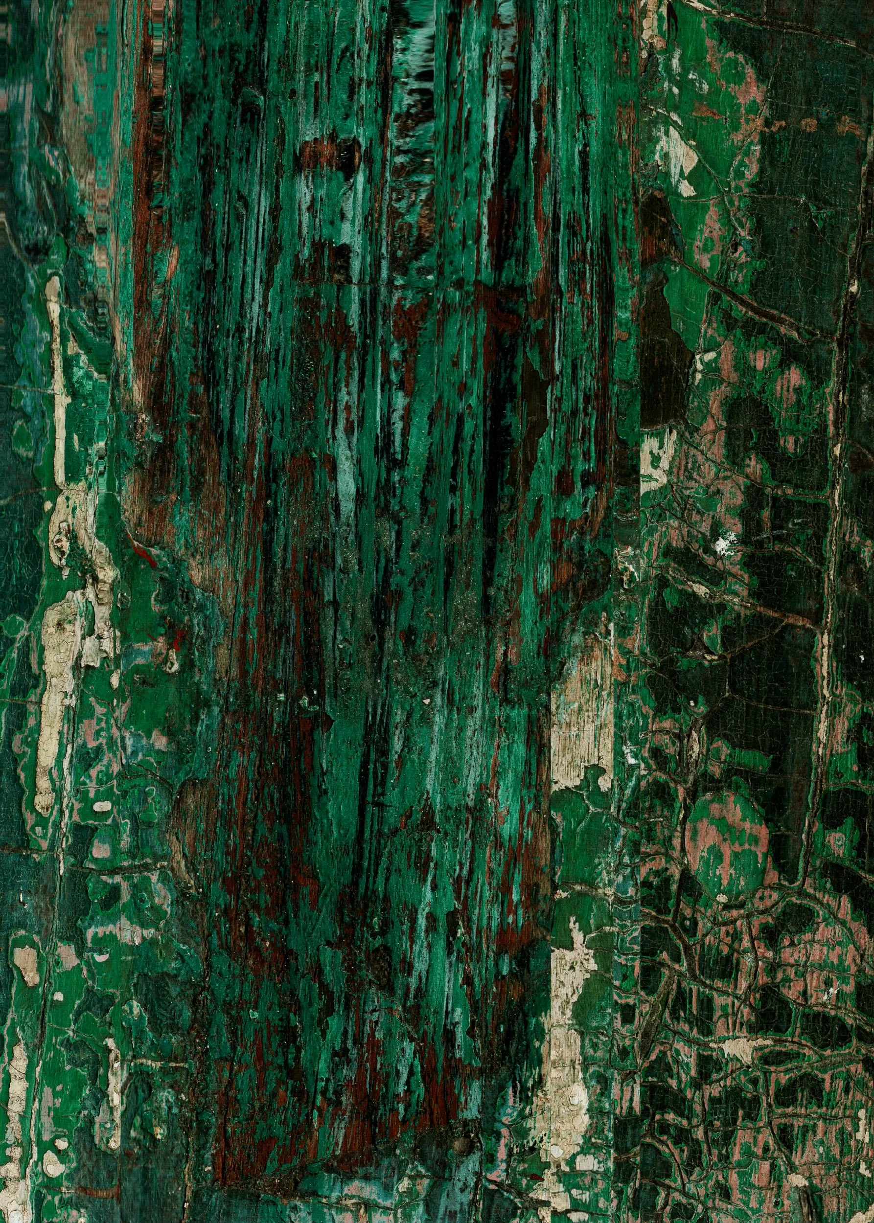 Mitchell Sturm - 20110101, Paris France 42.jpg