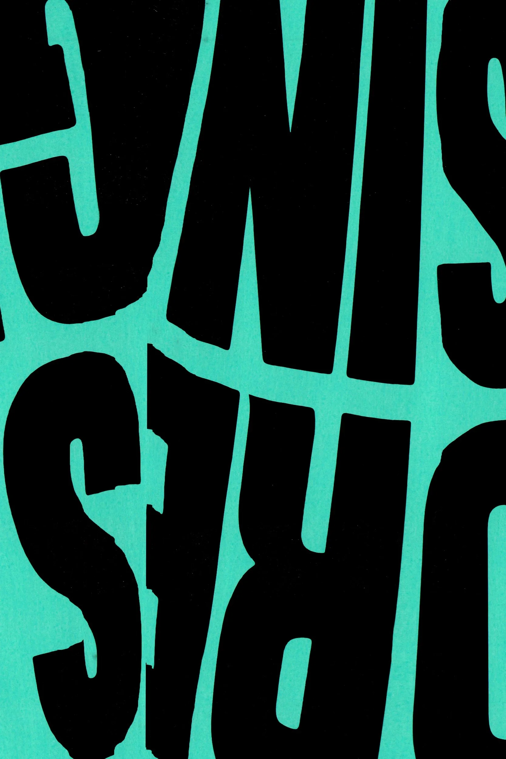 Mitchell Sturm - 20110101, Paris France 120.jpg