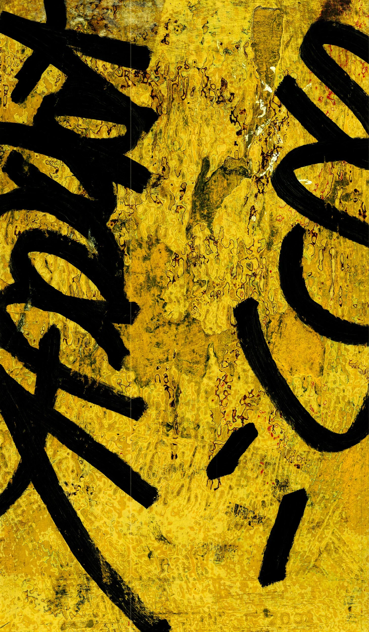 Mitchell Sturm - 20110206, Paris France 23.jpg