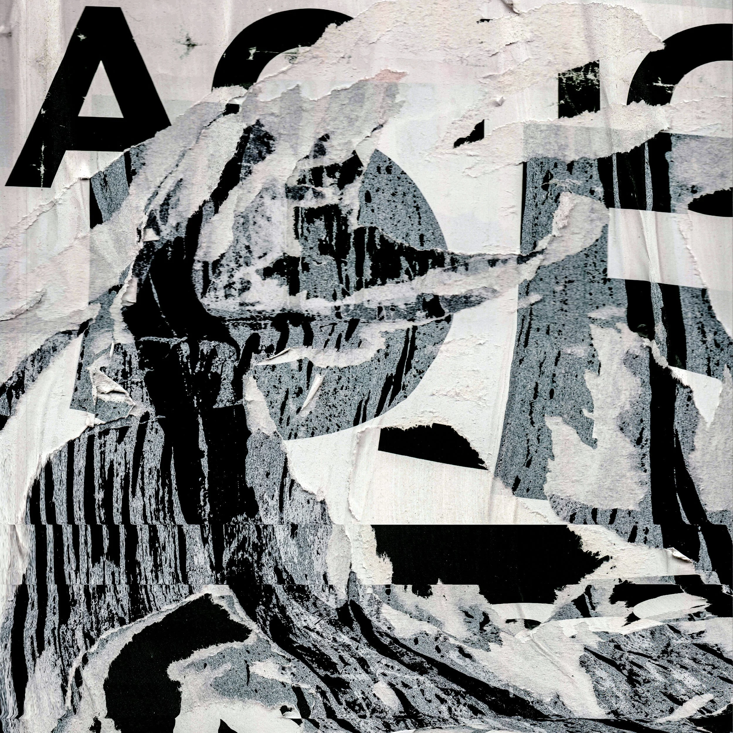 Mitchell Sturm - 20110102, Paris France 125.jpg