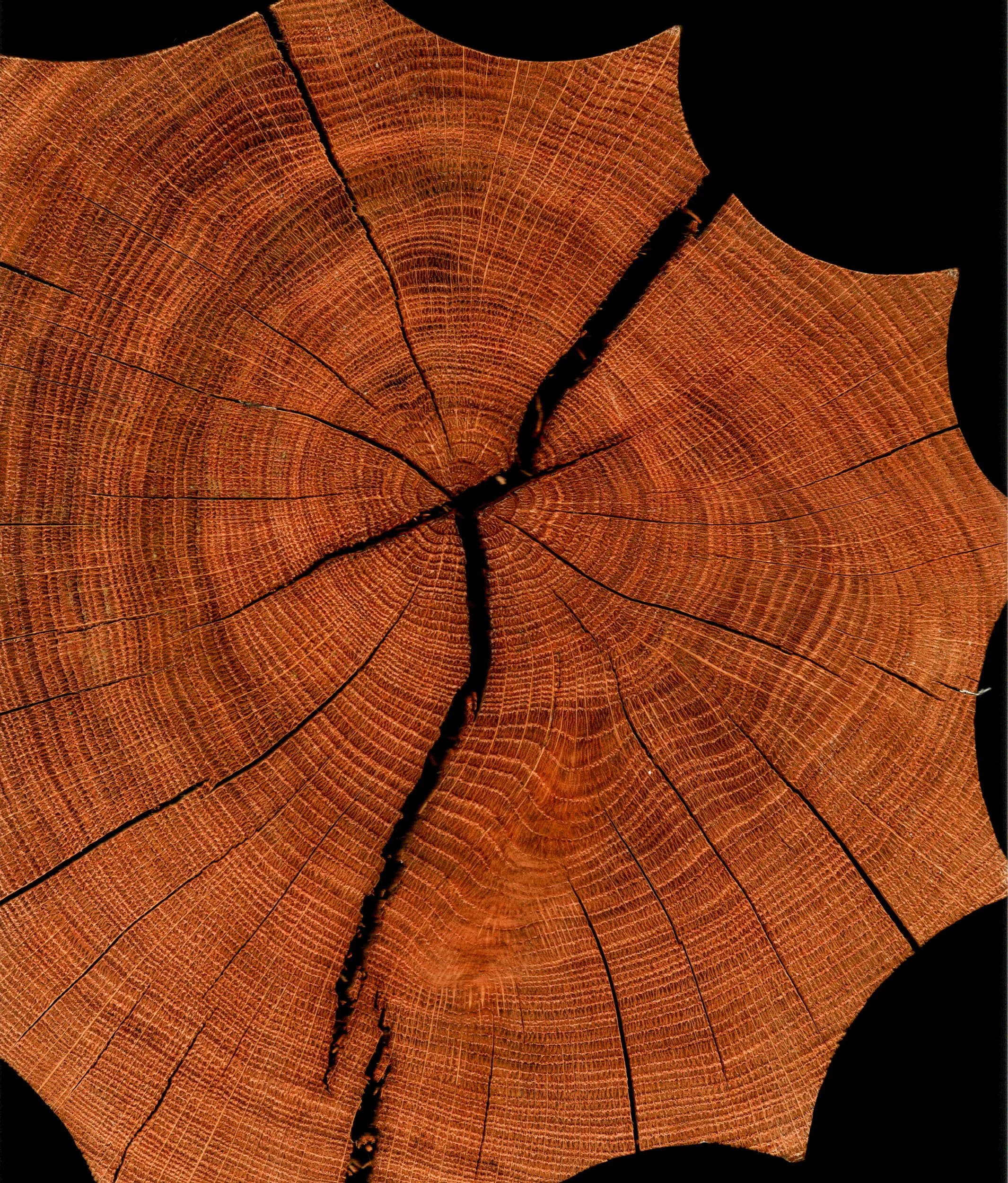 Mitchell Sturm -20240614, Scan, France 2024 95.jpg