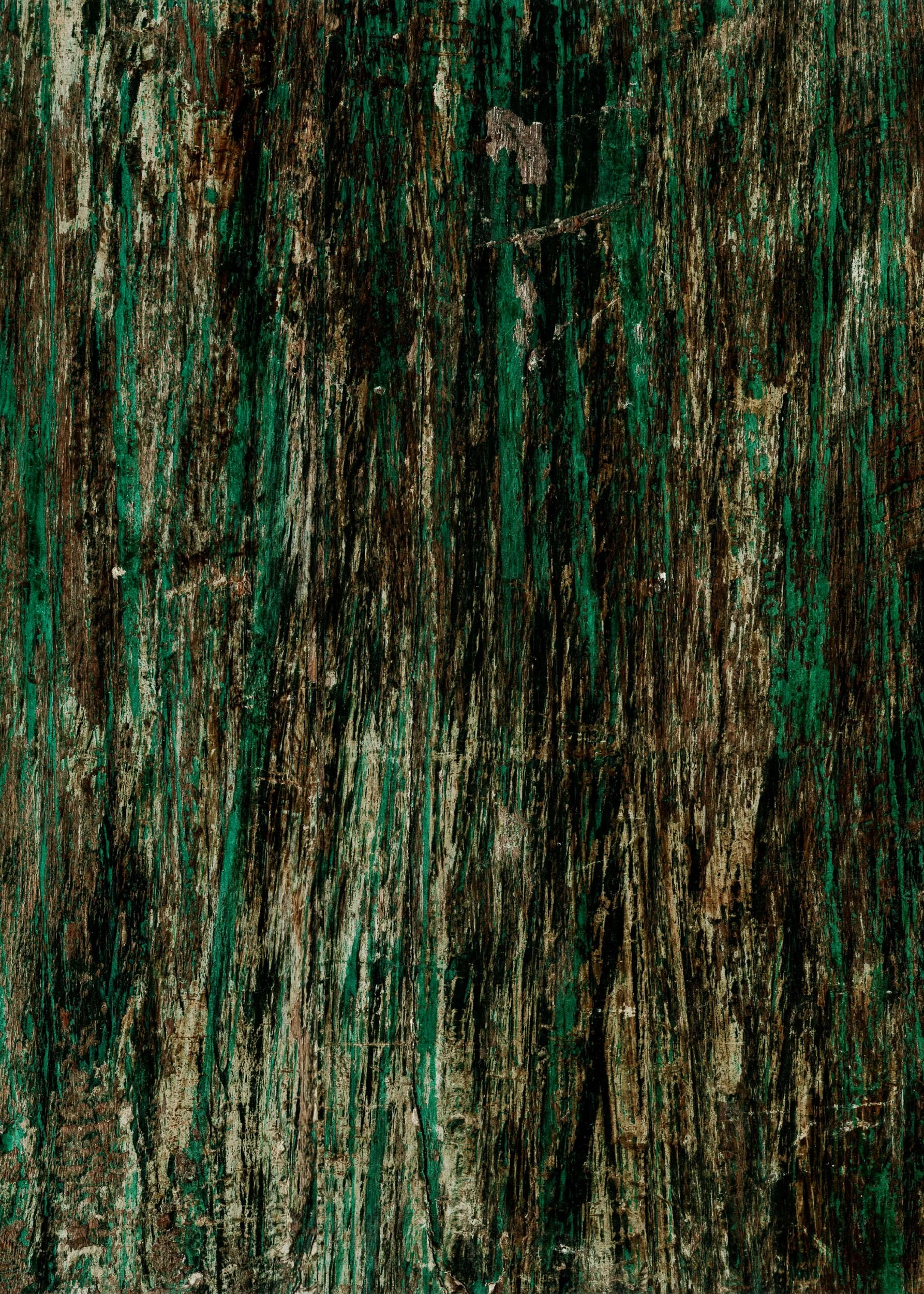 Mitchell Sturm - 20260331, Paris France 43.jpg