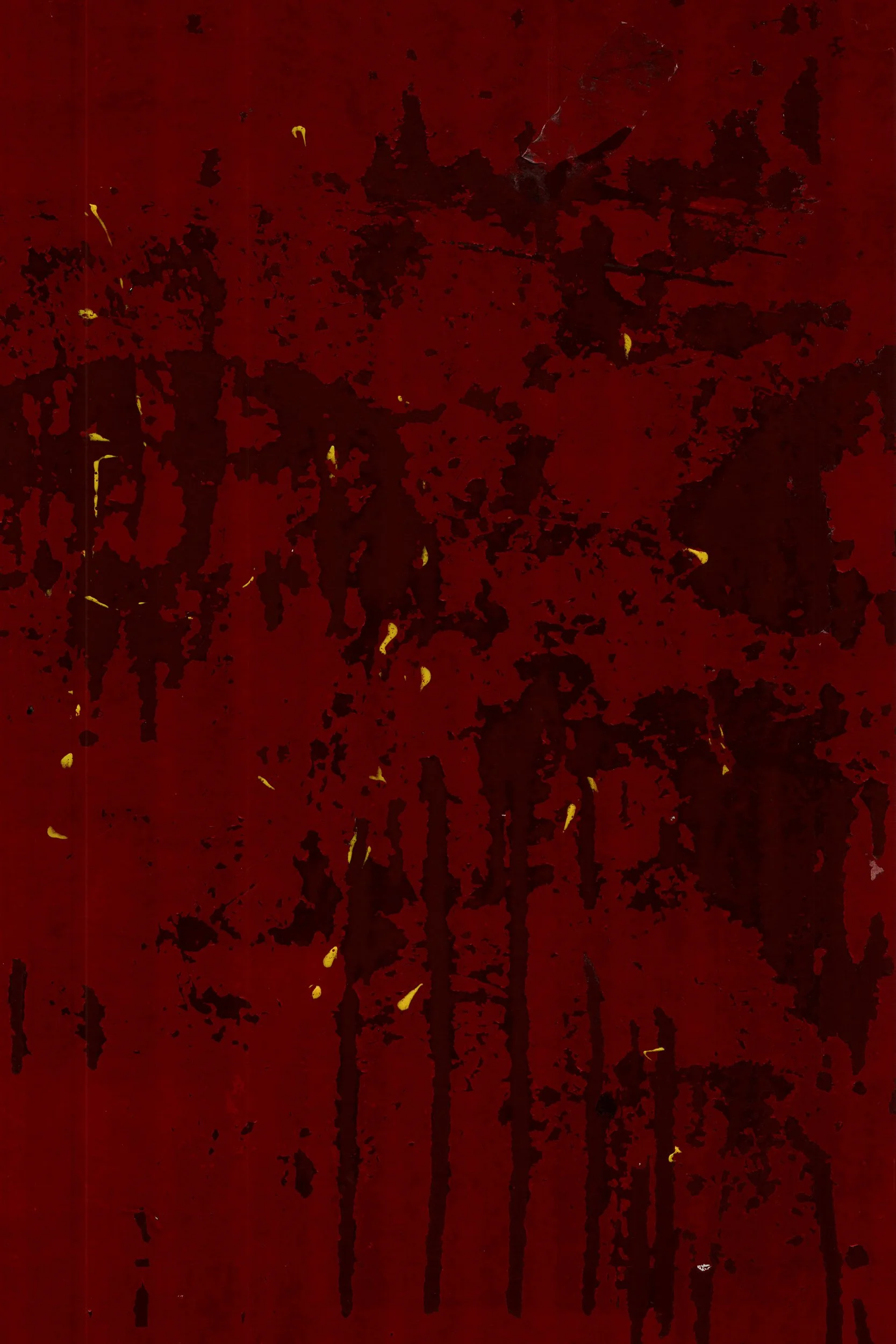 Mitchell Sturm - 20110217, Paris France 65.jpg