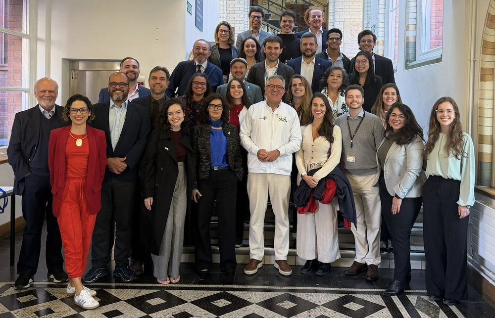 Equipe do Ministério da Saúde com ABEP-UK e pesquisadores brasileiros no Reino Unido