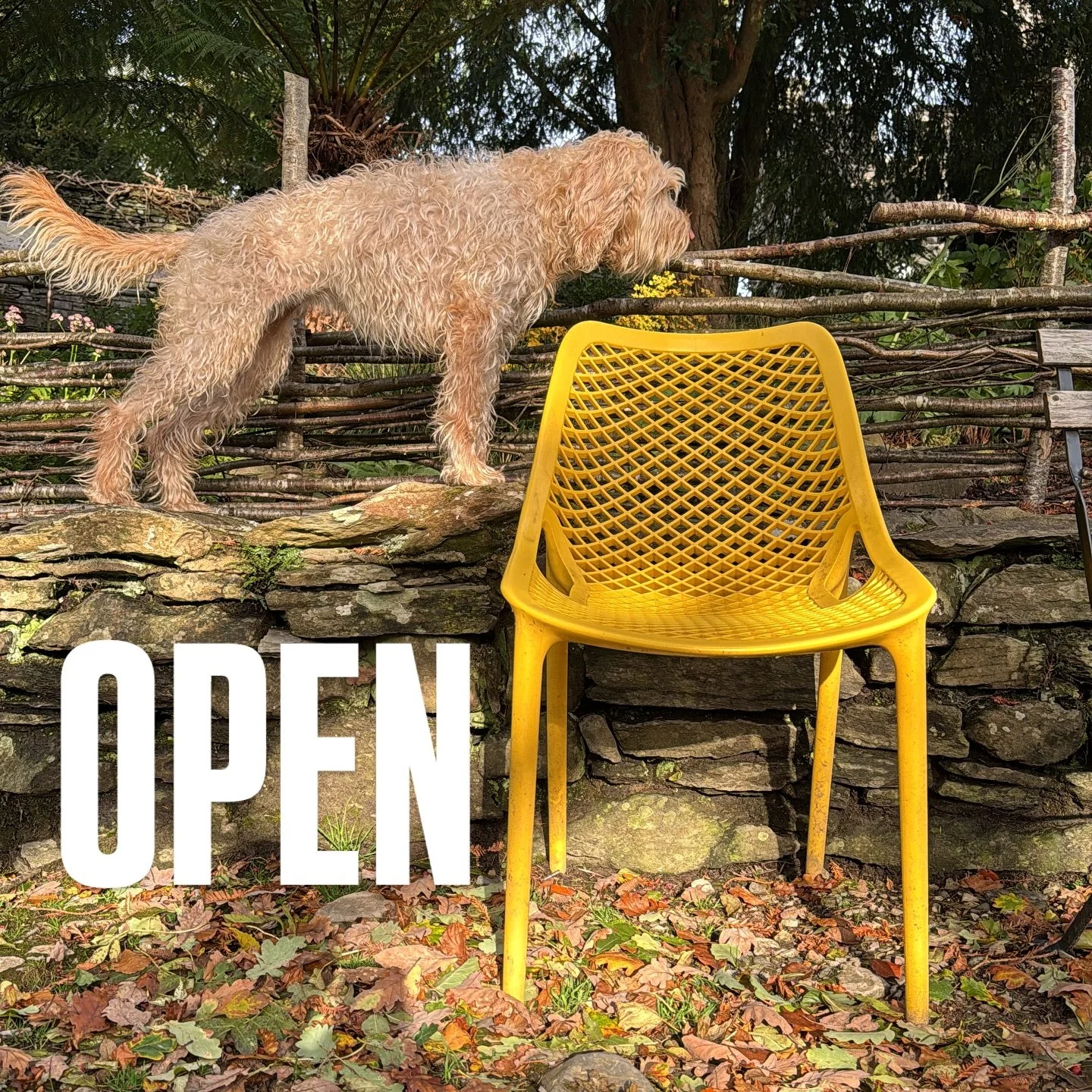 It’s a beautiful day in paradise — and we’re back! All our cafés are open and ready to fix your caffeine deficit. ☕️🌤️