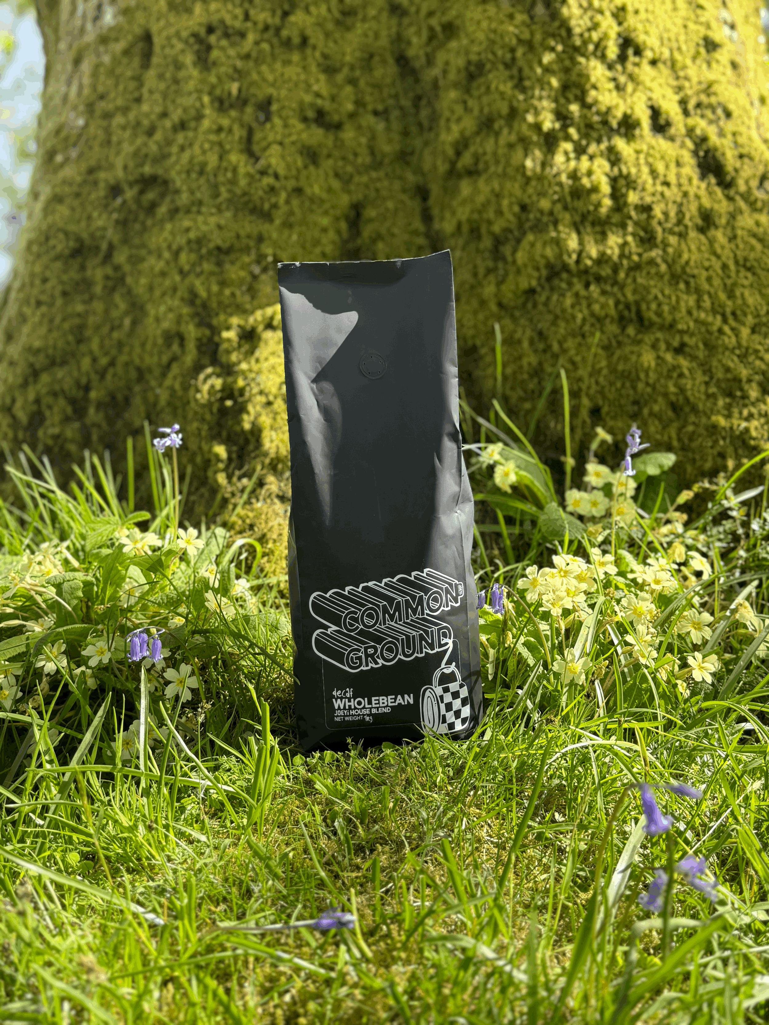 common ground - decaf wholebean
