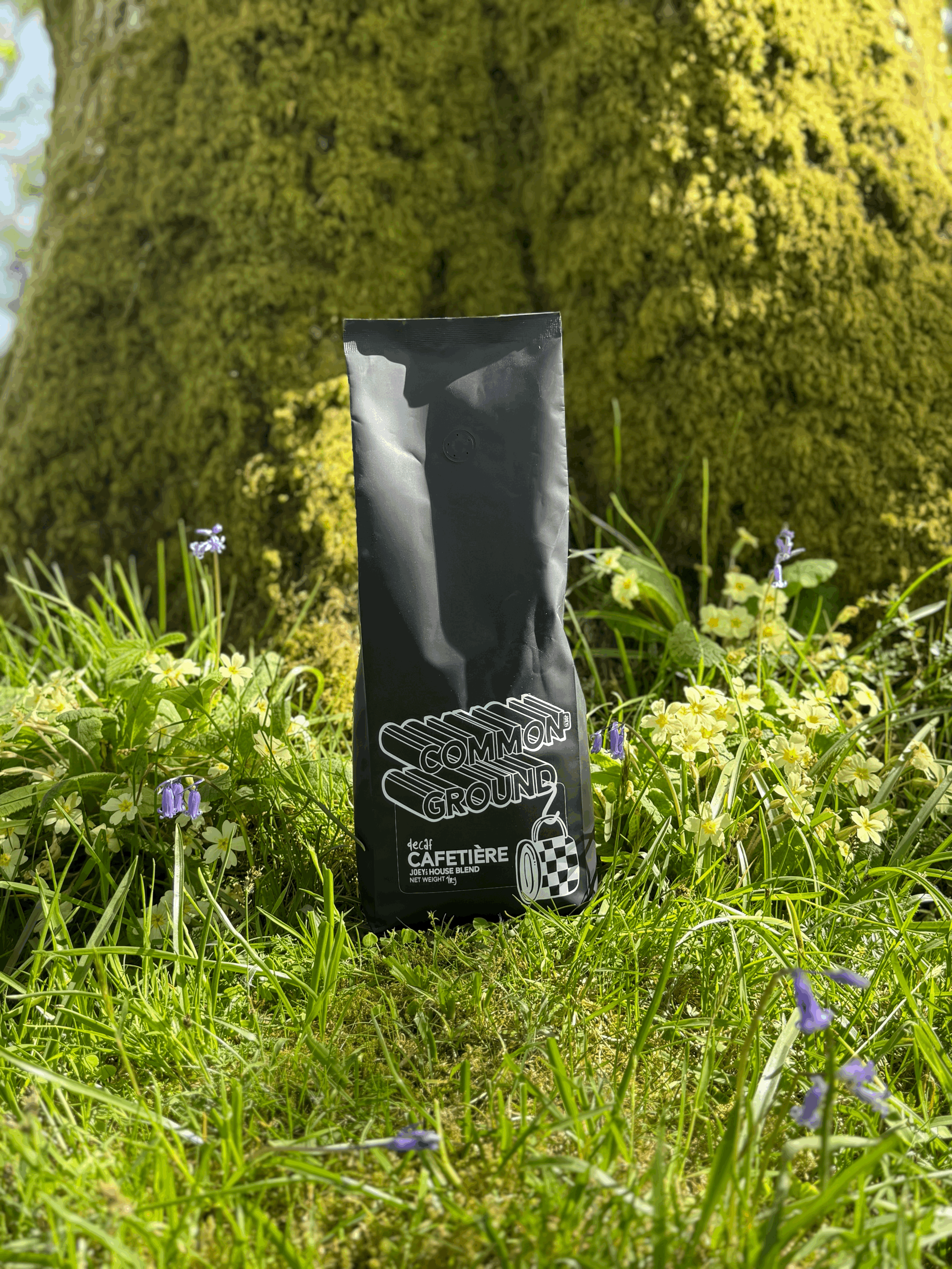 common ground - decaf cafetière