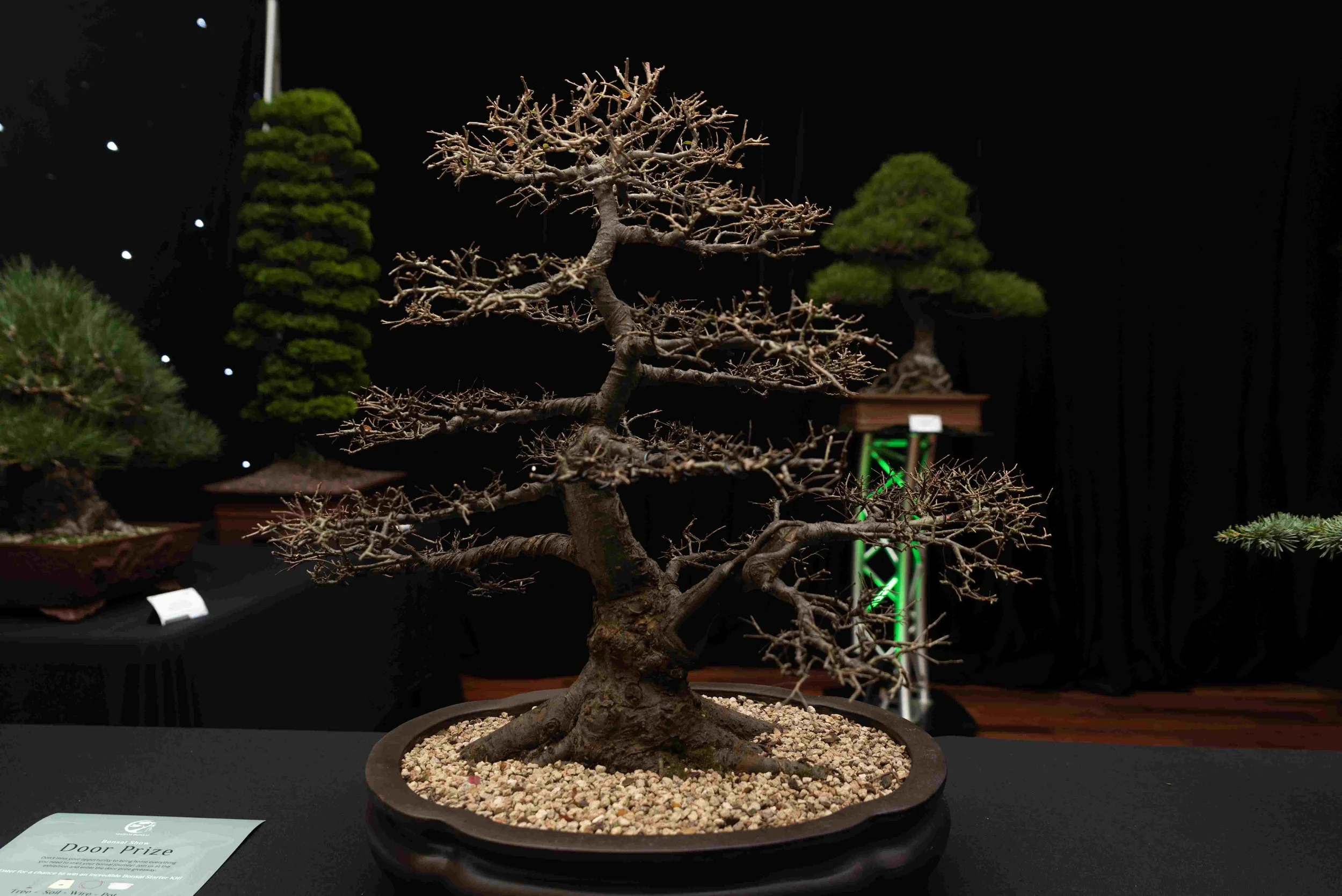 uunxIs5X - Copy - Copy.jpg