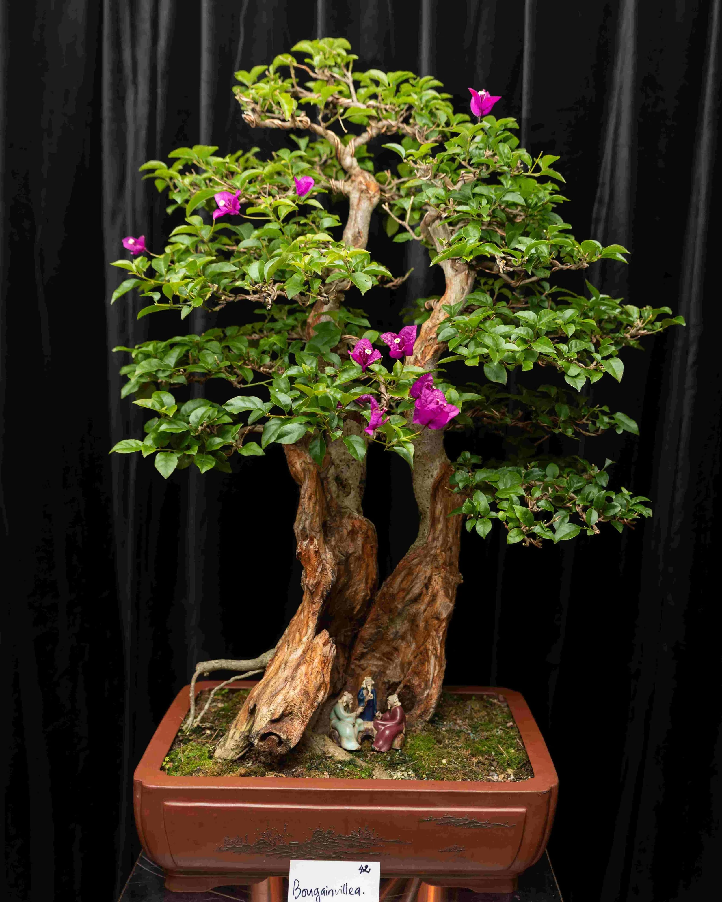 R-UV2_i6 - Copy (3) - Copy.jpg