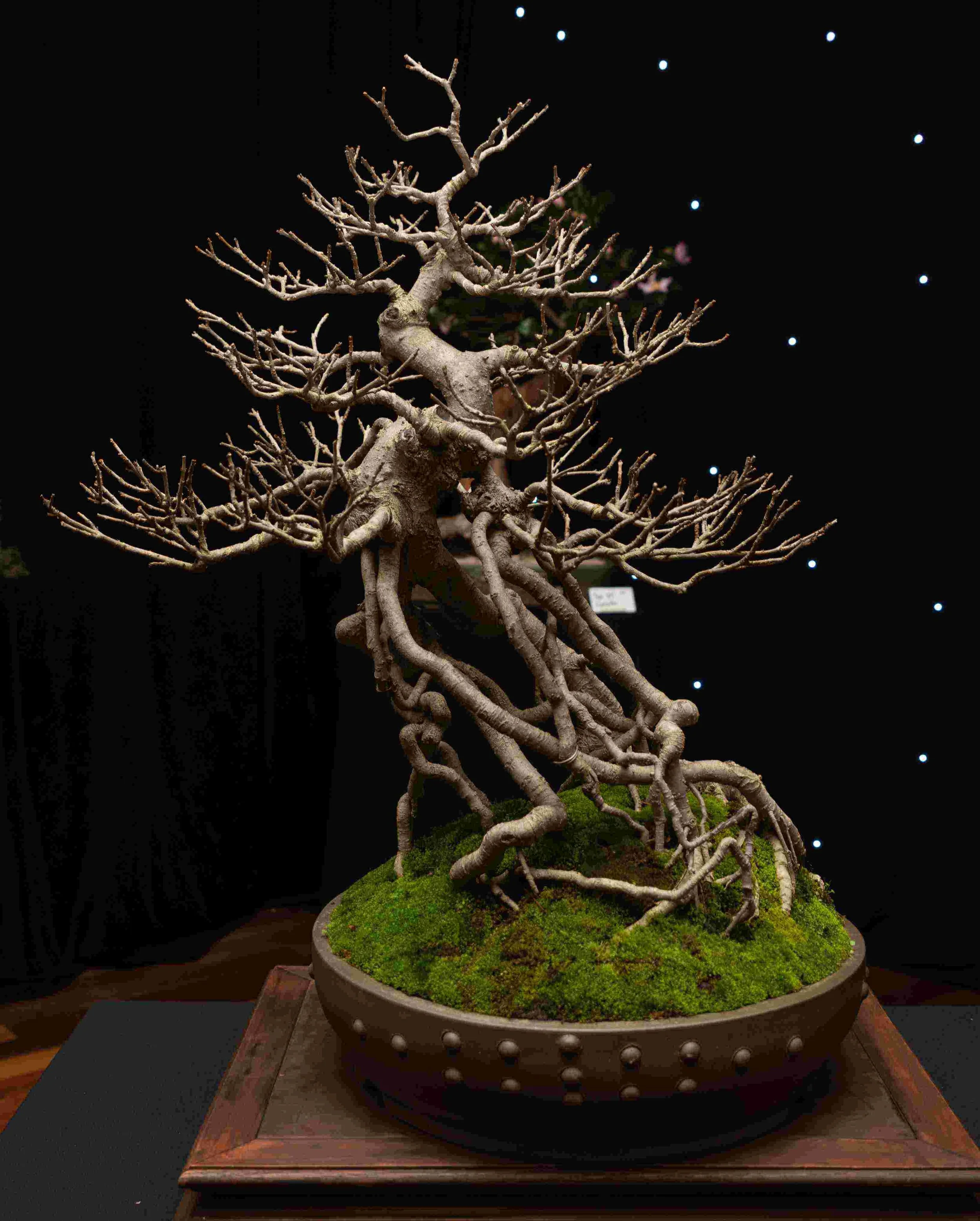 jUsD-Ub5 - Copy - Copy.jpg