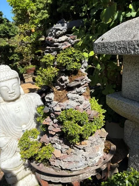 Madam bonsai melbourne 2025 17.jpg