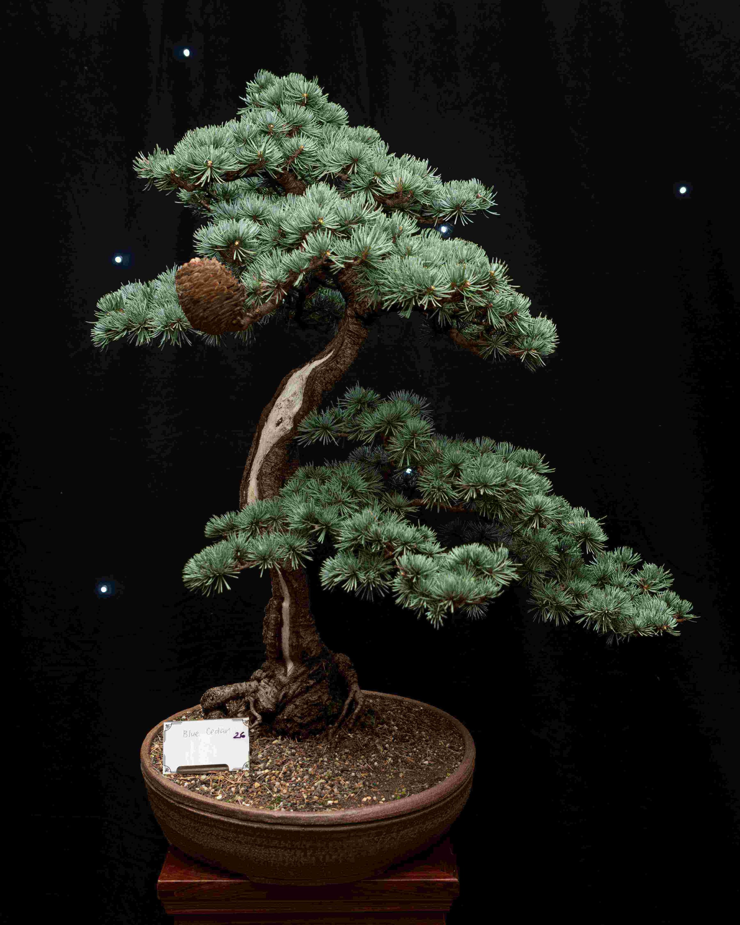 njeQiUMw - Copy - Copy.jpg