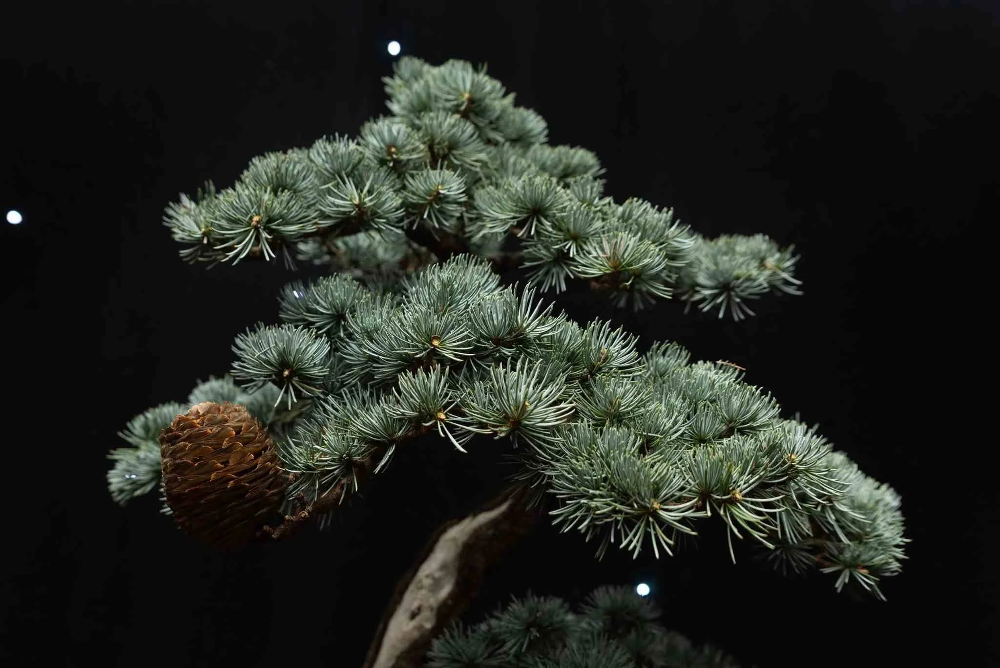 oz57DtKw - Copy - Copy.jpg