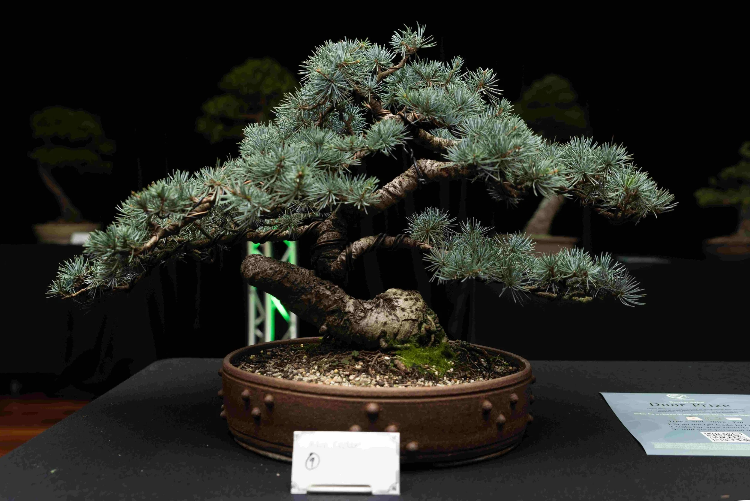 UqGzfCd8 - Copy - Copy.jpg