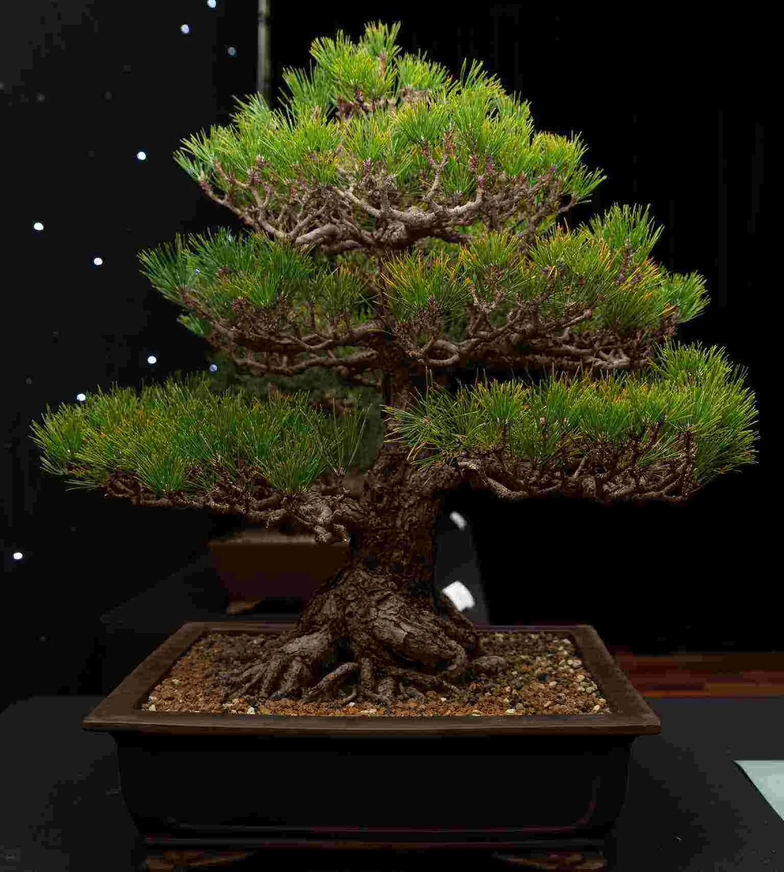 J-033vnw - Copy - Copy.jpg