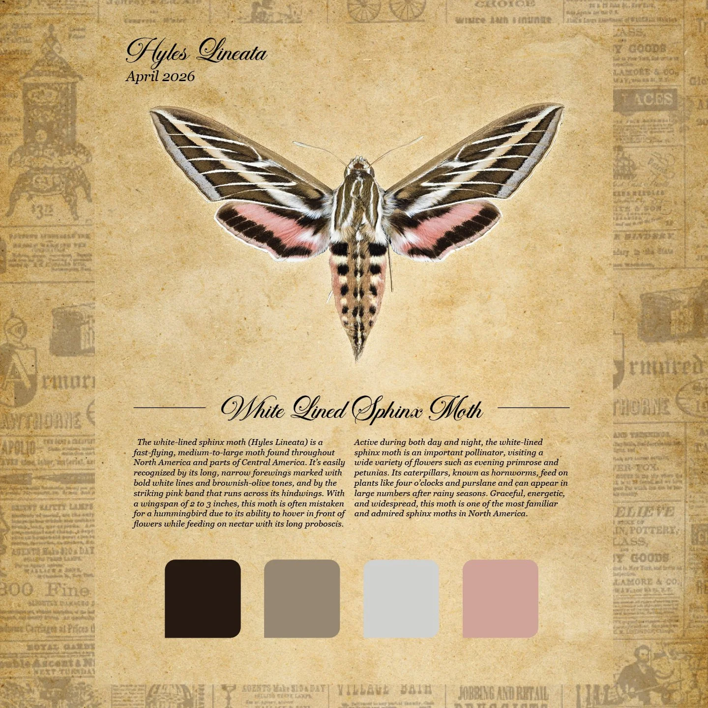 moth club social 17.jpg