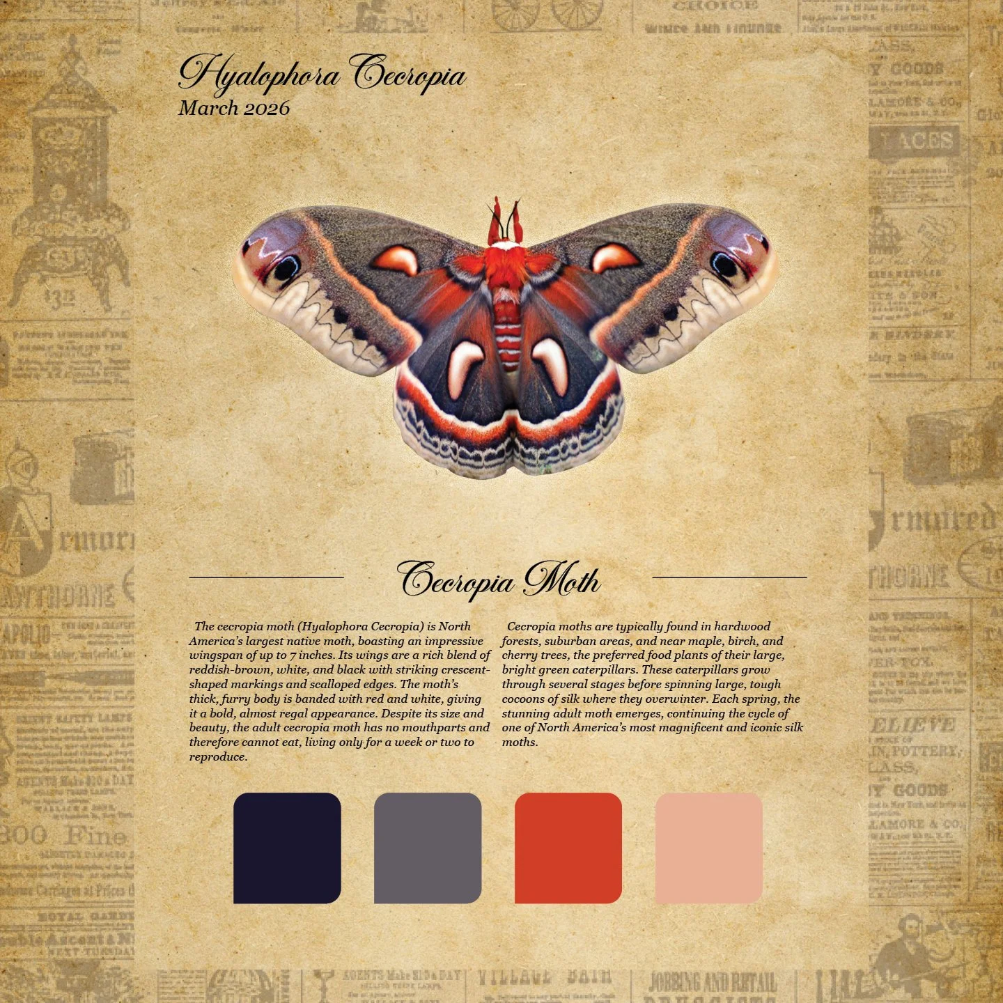 moth club social 16.jpg