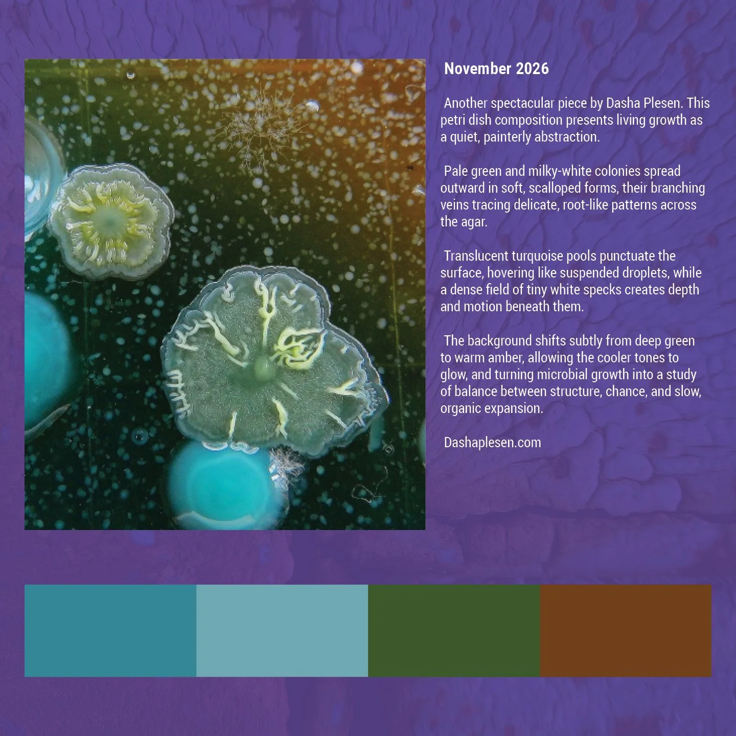 Beauty in decay social13.jpg