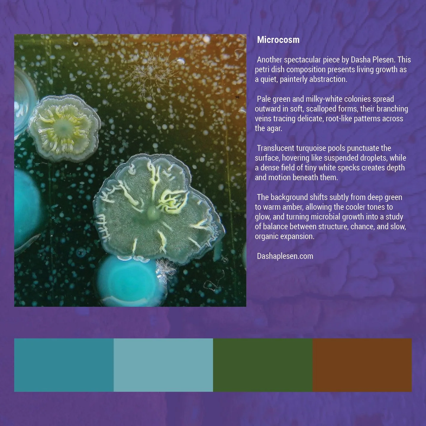 Beauty in decay social13.jpg