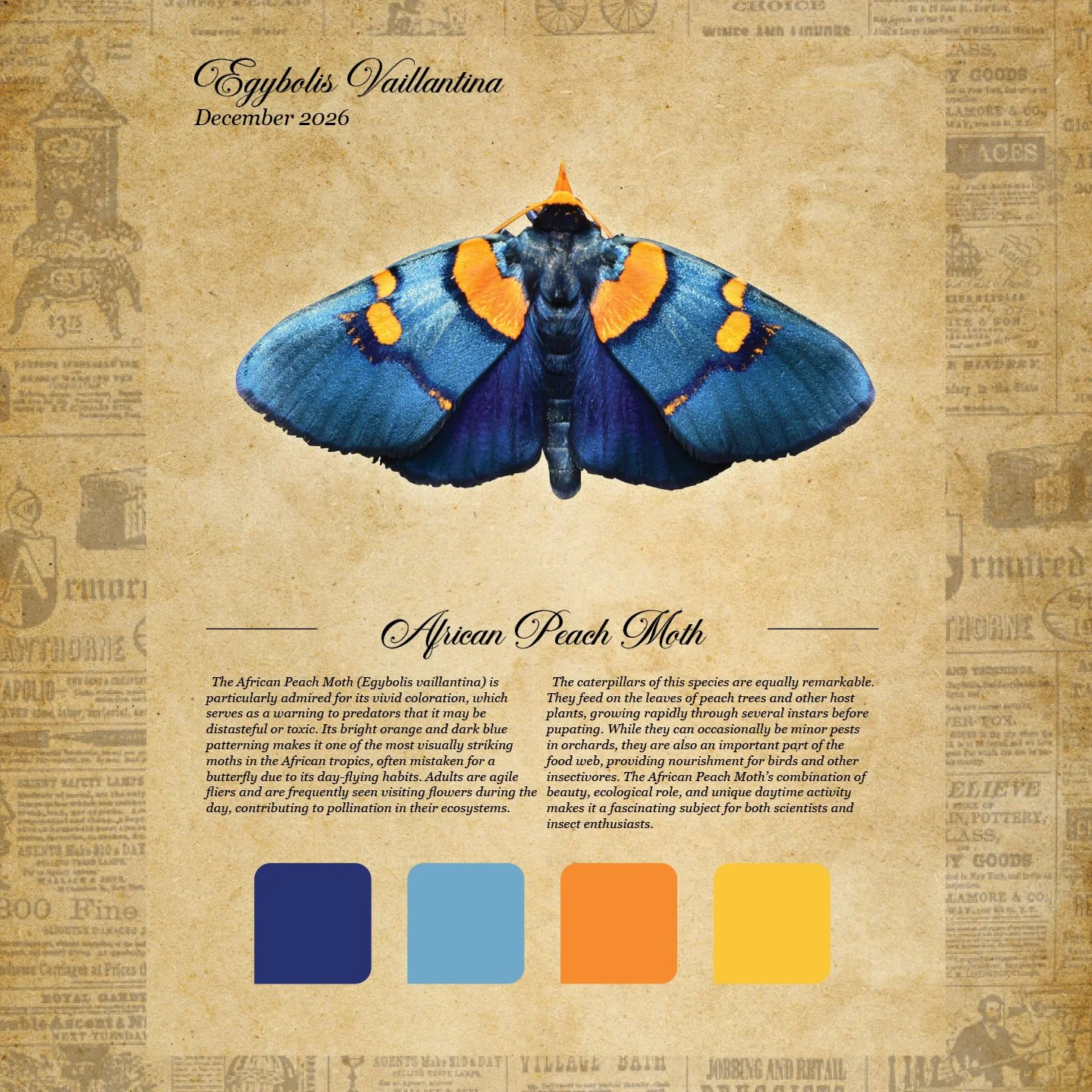 moth club social 115.jpg