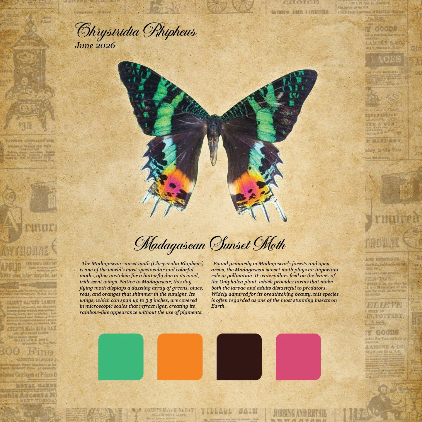 moth club social 19.jpg