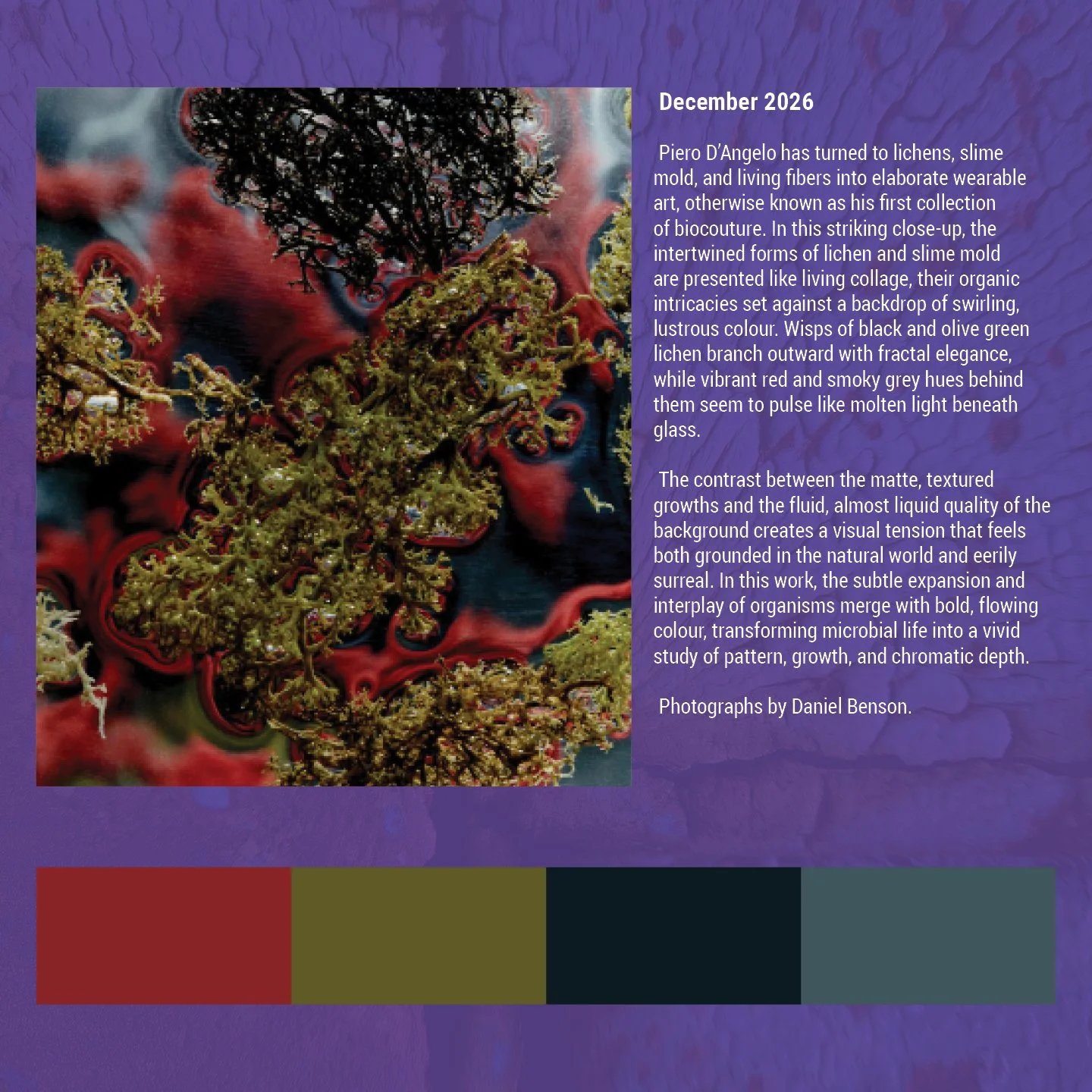 Beauty in decay social14.jpg