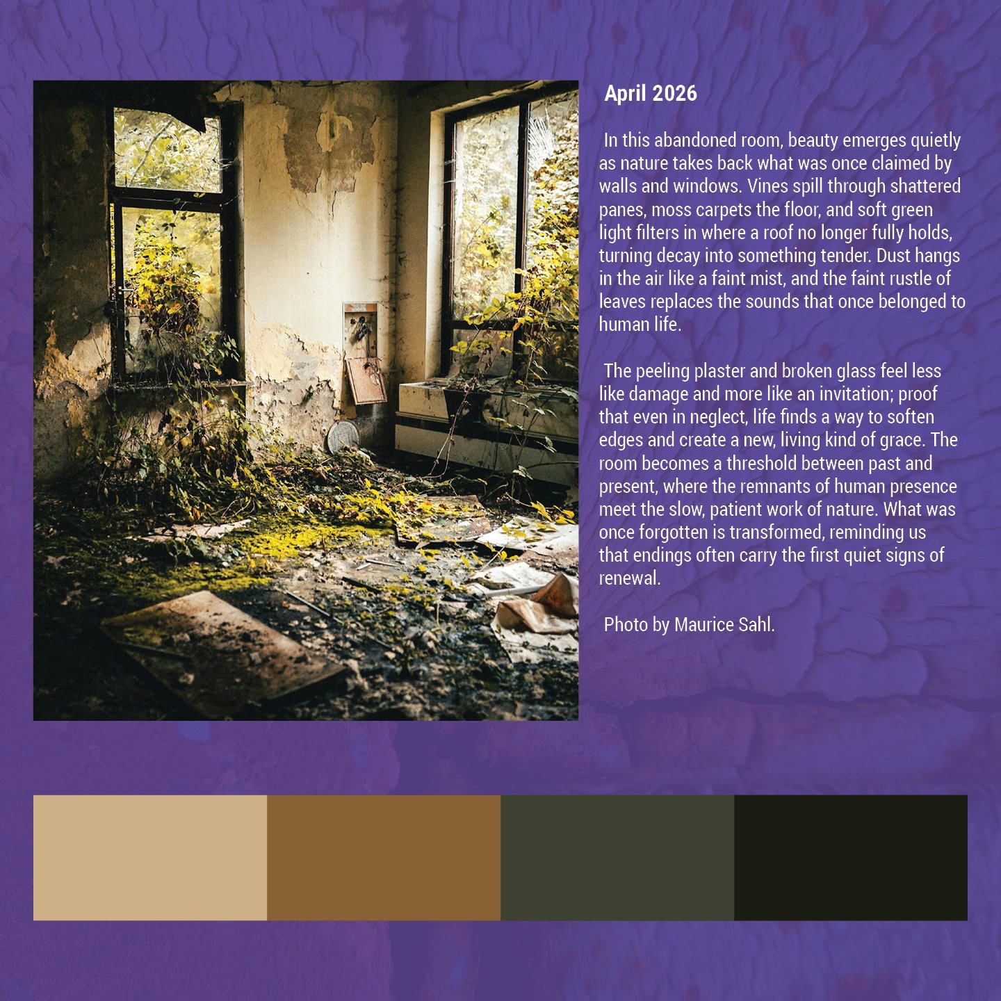 Beauty in decay social6.jpg