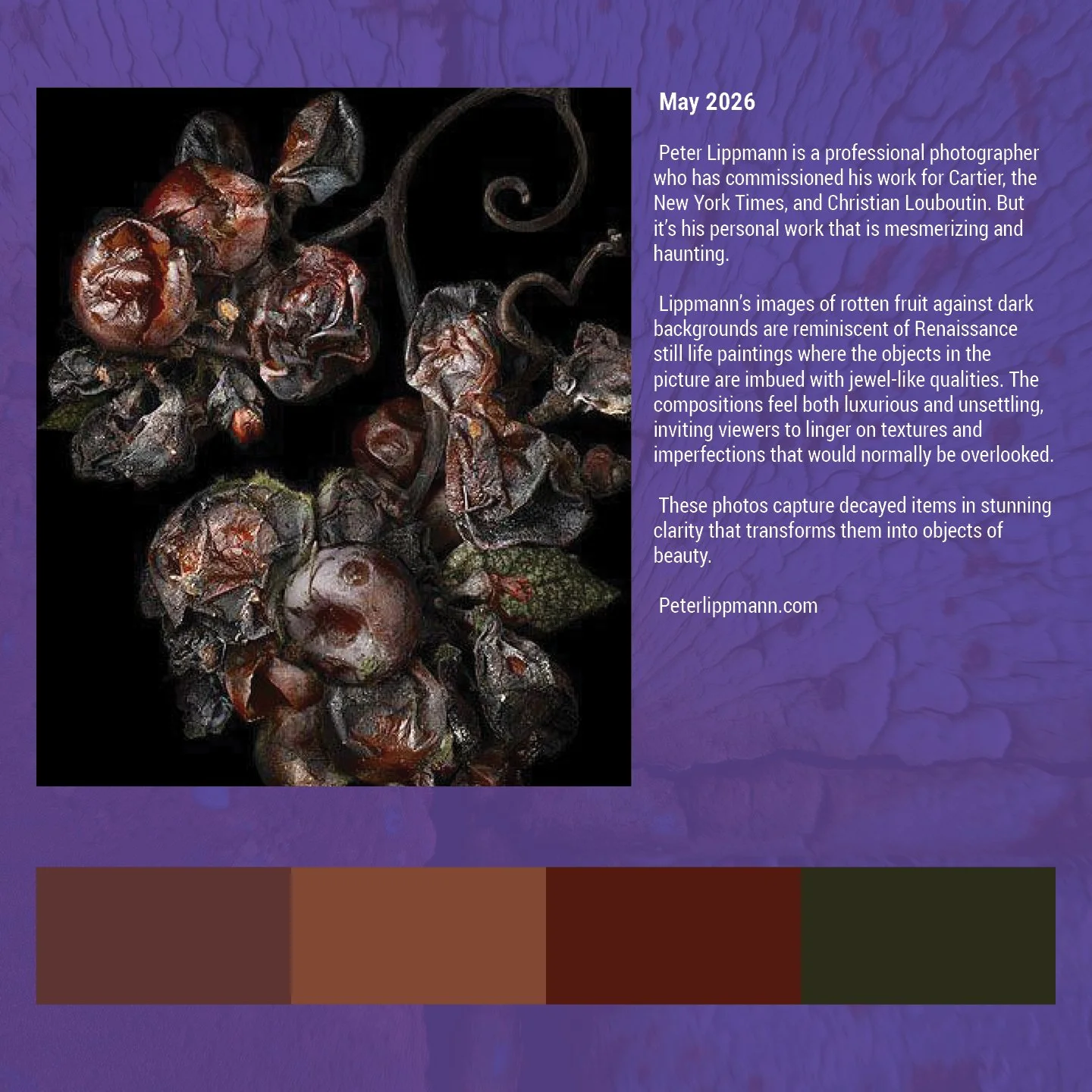 Beauty in decay social7.jpg