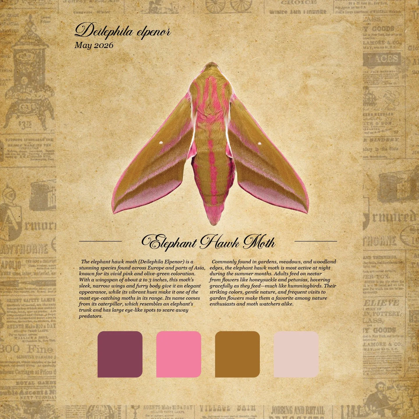 moth club social 18.jpg