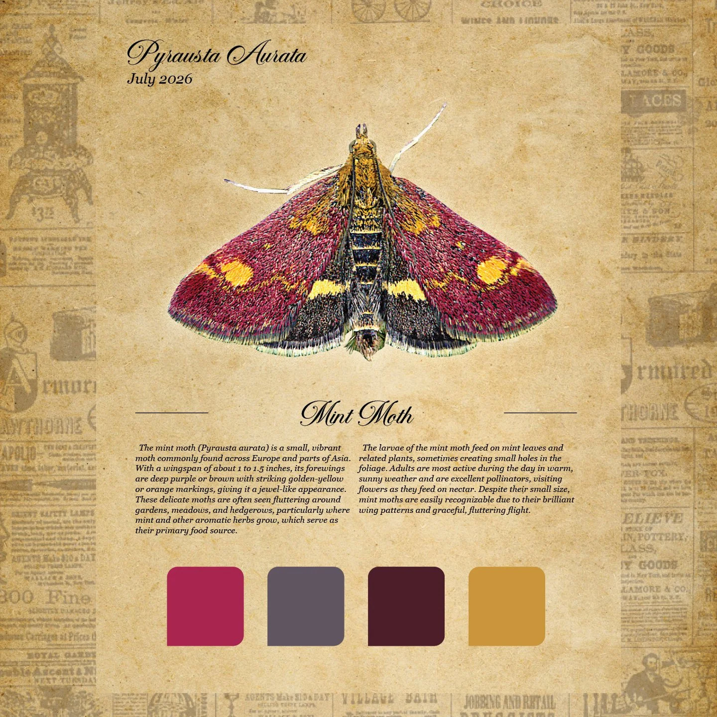 moth club social 110.jpg