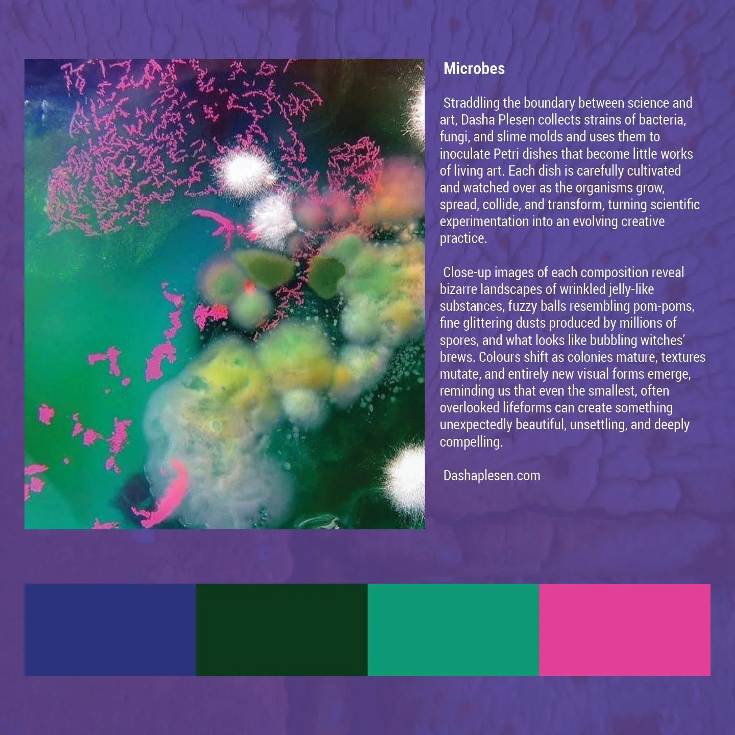 Beauty in decay social5.jpg