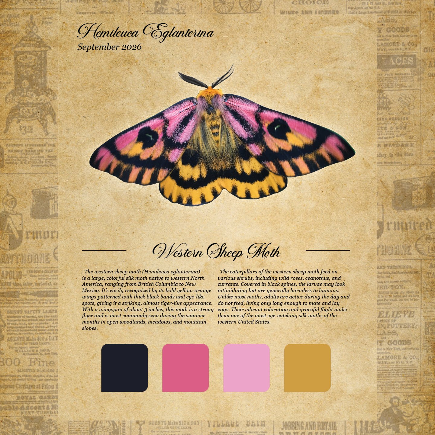 moth club social 112.jpg