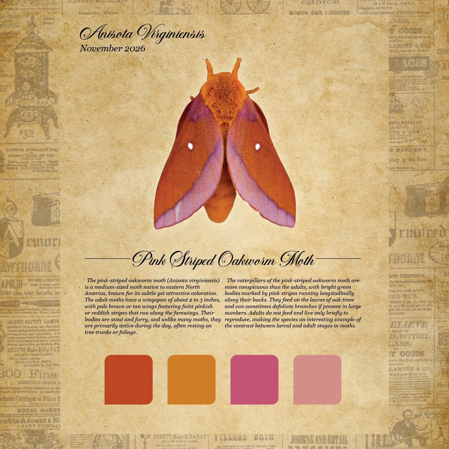 moth club social 114.jpg