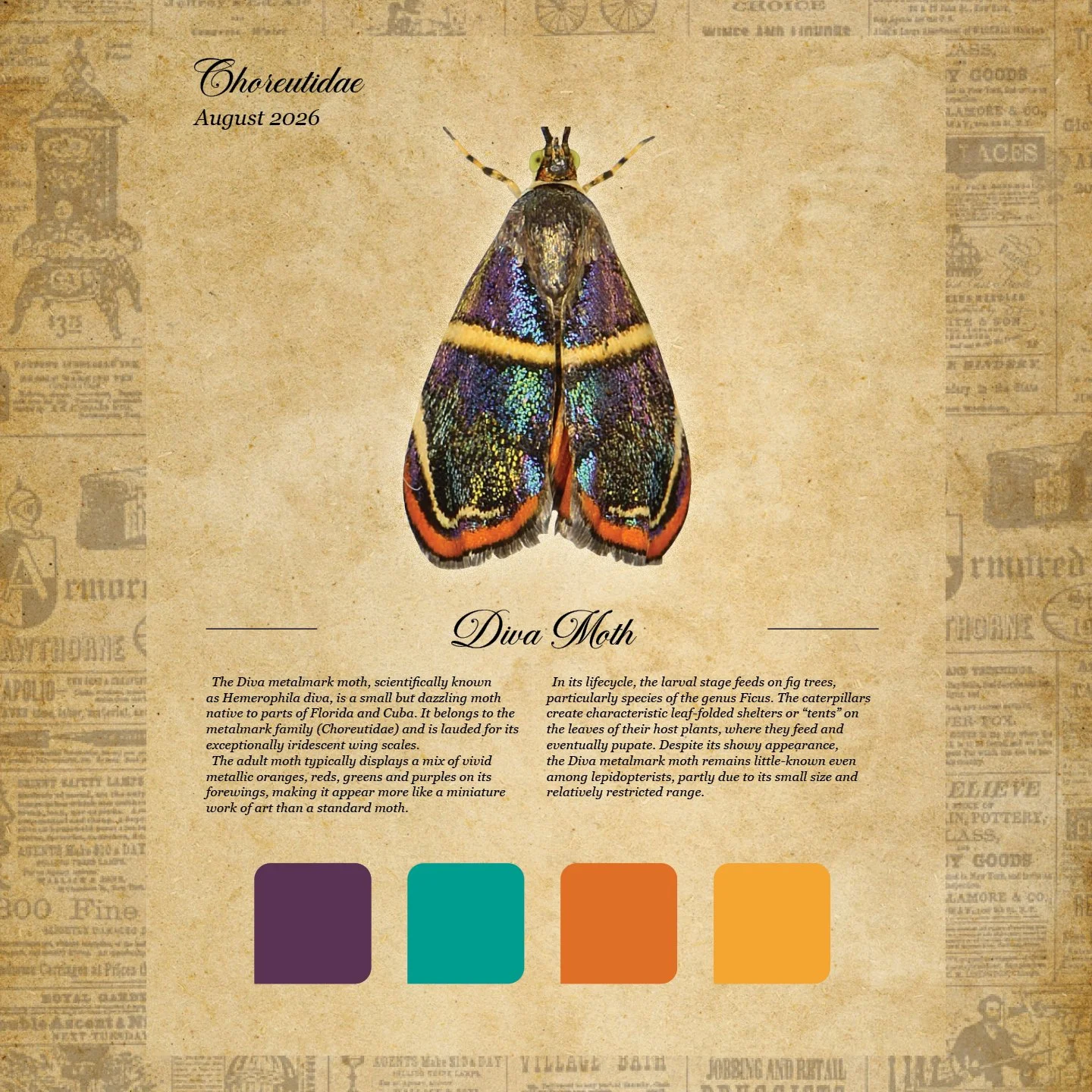 moth club social 111.jpg