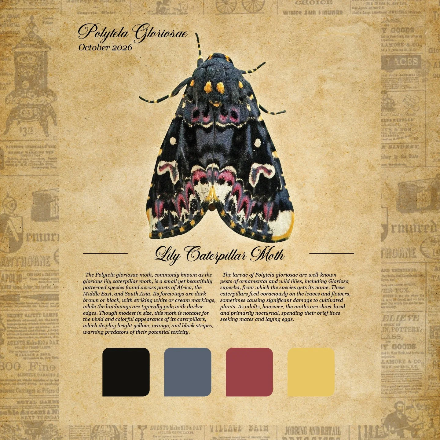 moth club social 113.jpg