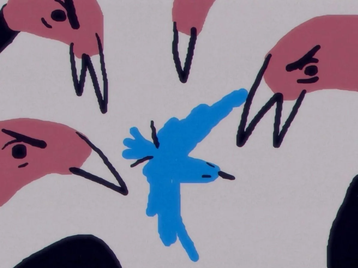 Birds of a Feather