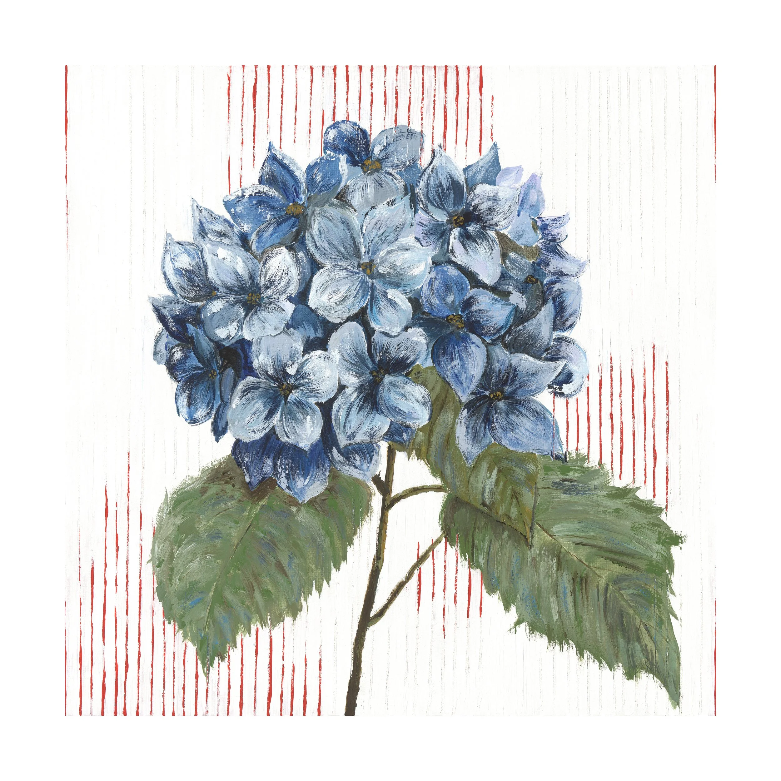 Hydrangea_Bloom I_50x50cm_Print.jpg