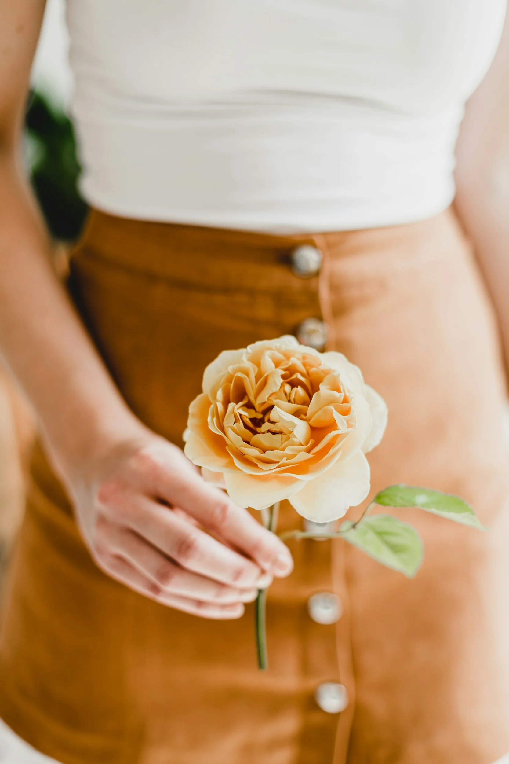 Une personne tenant une rose beige, portant une jupe brune et un haut blanc. La personne est vêtue avec des boutons visibles sur la jupe.