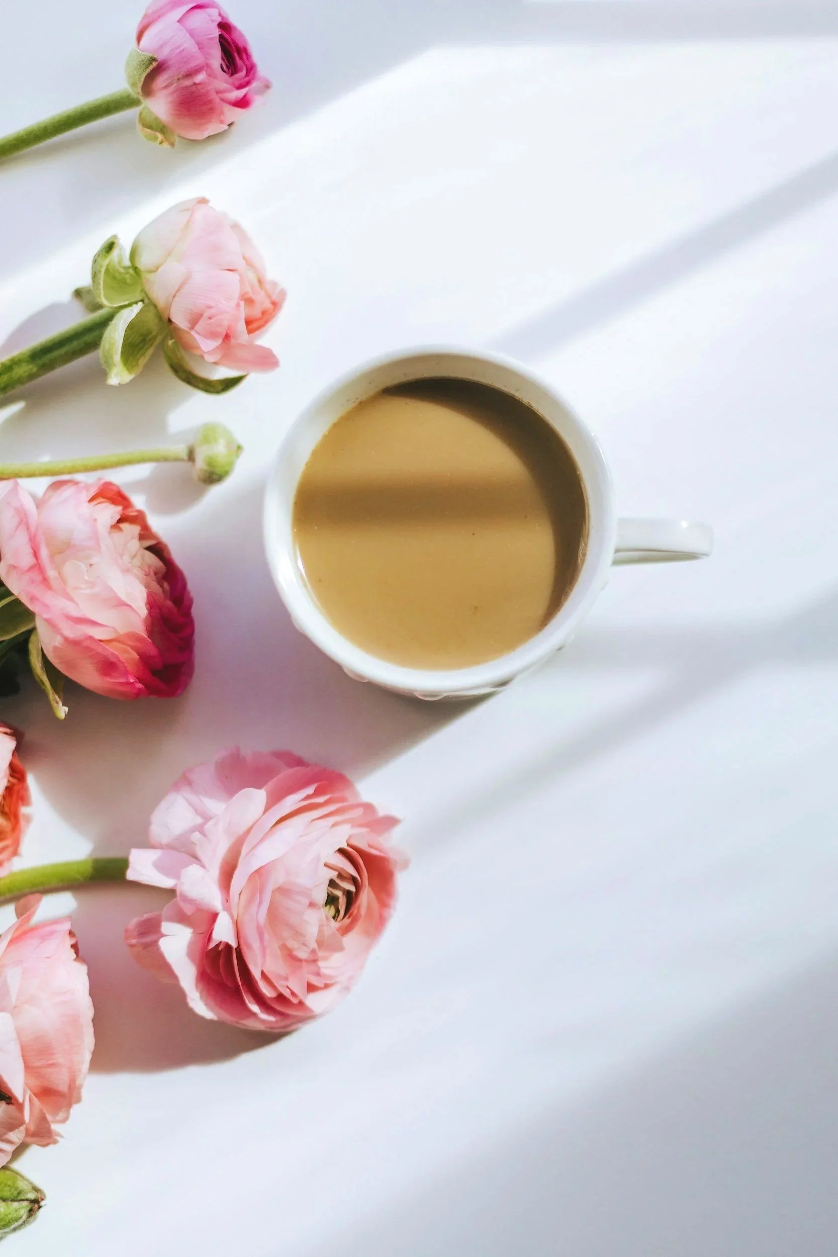 Chaï latté féminin