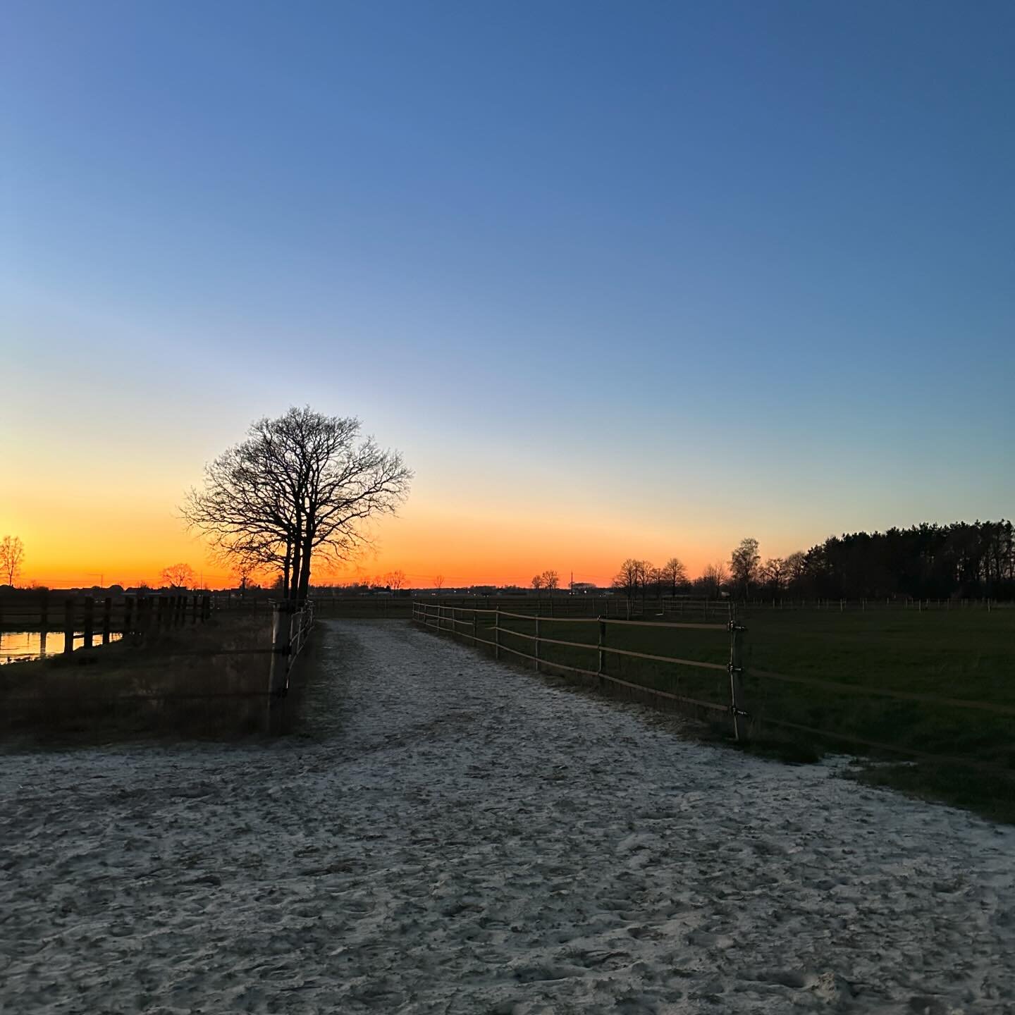 Wat is het hier toch mooi 🥰
De paarden staan met dit weer toch wel graag binnen te eten. Af en toe doen ze een rondje buiten. Soms wandelend en soms toch even lekker rennen en bokken. De tracks zijn gelukkig heel goed begaanbaar! Niet glad en amper 