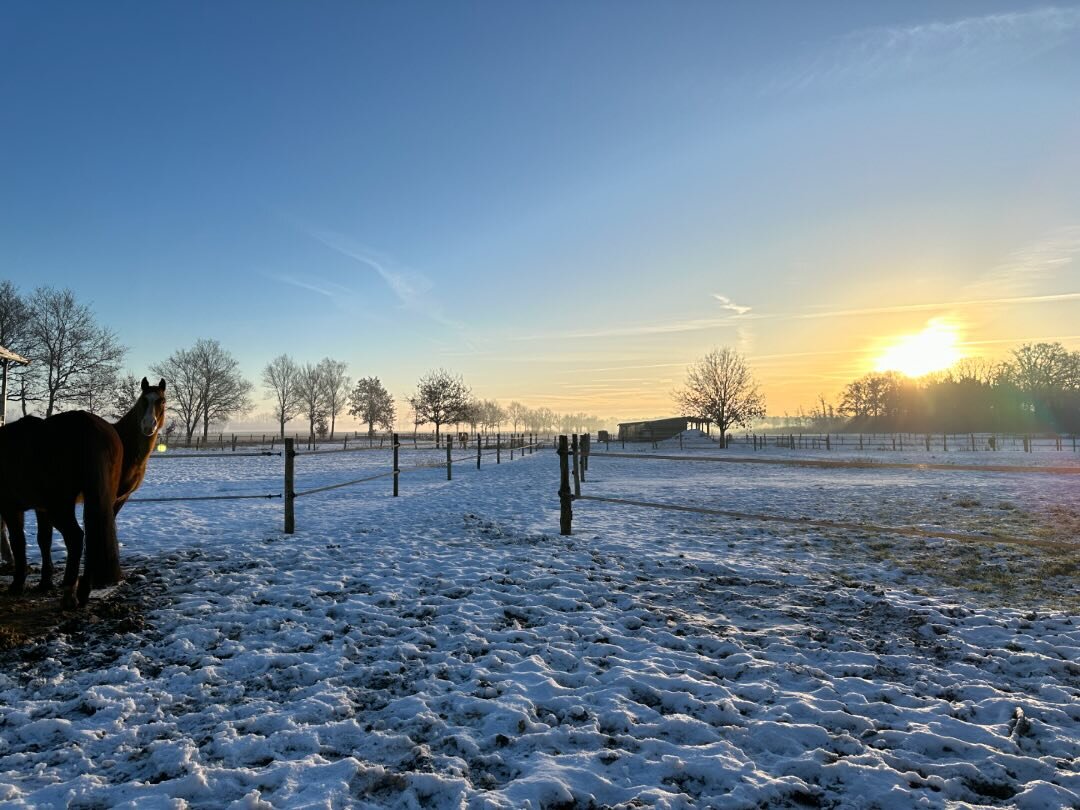 Deze ochtend was prachtig!
www.Remmingtonsranch.be
&mdash;&mdash;&mdash;&mdash;&mdash;&mdash;&mdash;&mdash;&mdash;&mdash;&mdash;&mdash;&mdash;&mdash;&mdash;&mdash;&mdash;&mdash;&mdash;&mdash;&mdash; 

#paarden #horses #paard #stal #ranch #remmingtons