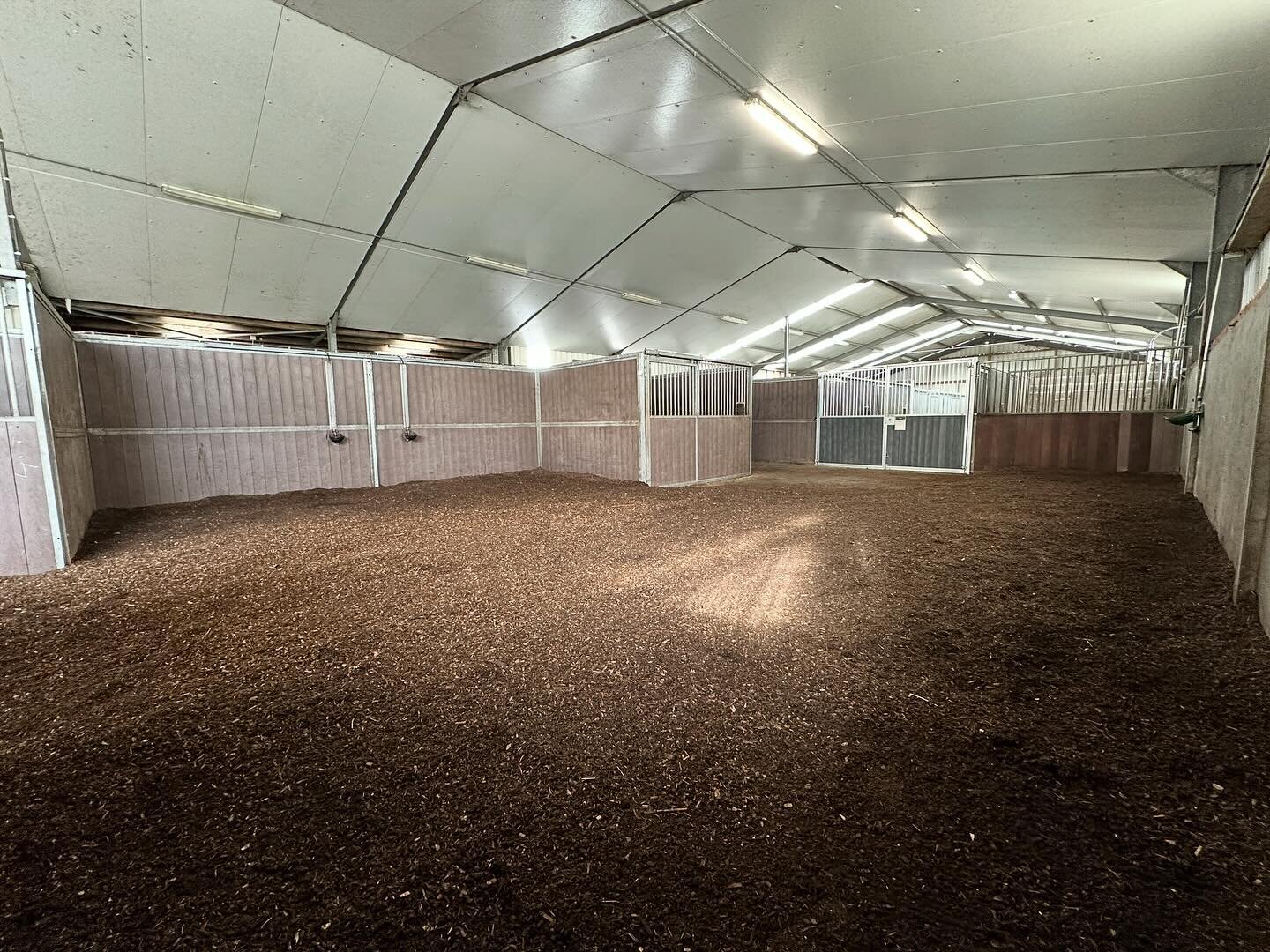 Wat een heerlijke plek is dit geworden voor de paarden! Ze genieten van hun @biowaldboden_benelux bed. Je voelt de rust en deze plek word nu veel meer benut.
We hebben een aantal boxen laten staan voor het voeren in de ochtend en in nood.
Wat vind ji