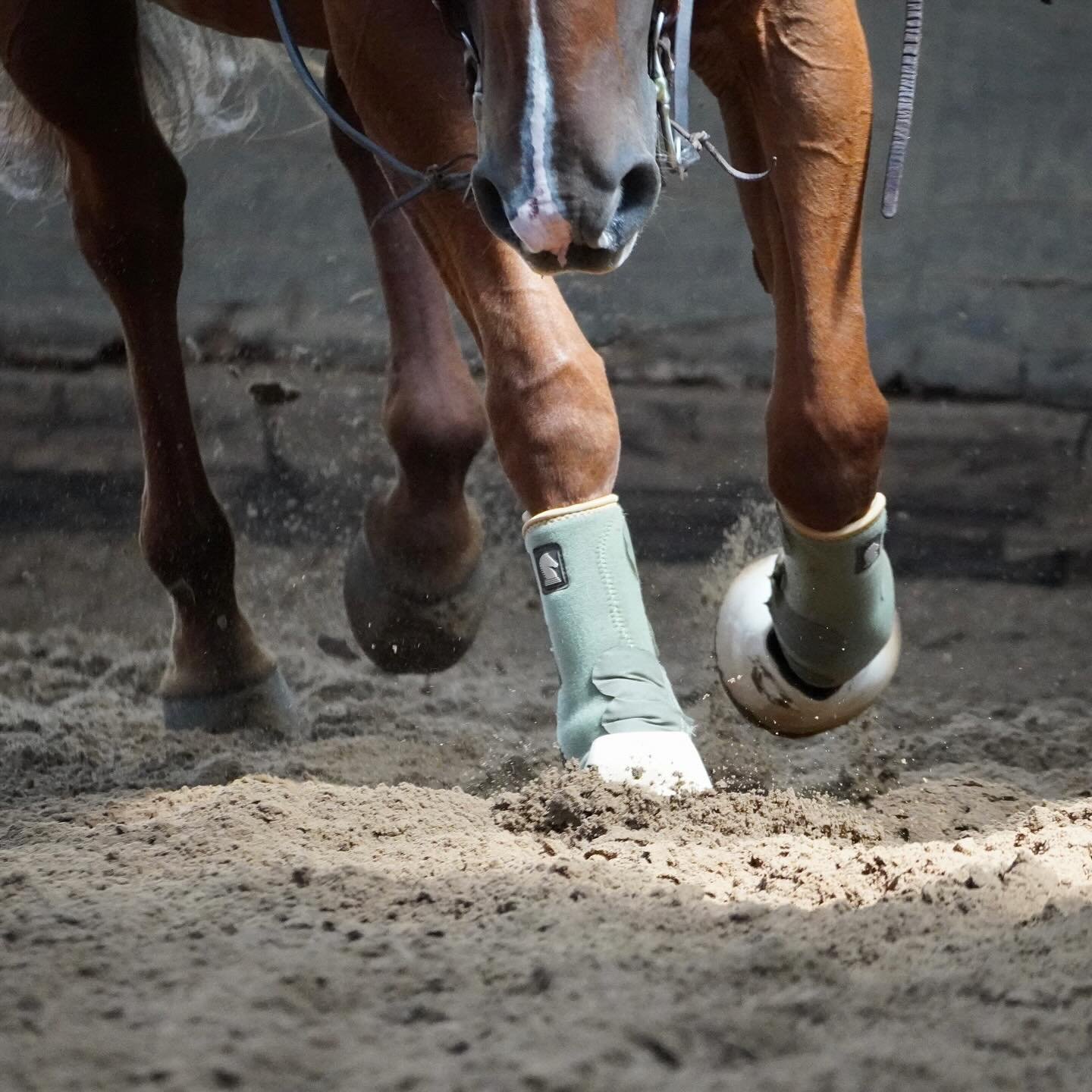 Welke tak van de western sport spreekt jou het meeste aan?
Hoe vaak rij je in de week en hoe vaak volg je lessen?
Wissel je wel eens af met grondwerk of een buiten rit?
Bij ons is alles mogelijk! 

www.Remmingtonsranch.be
&mdash;&mdash;&mdash;&mdash;